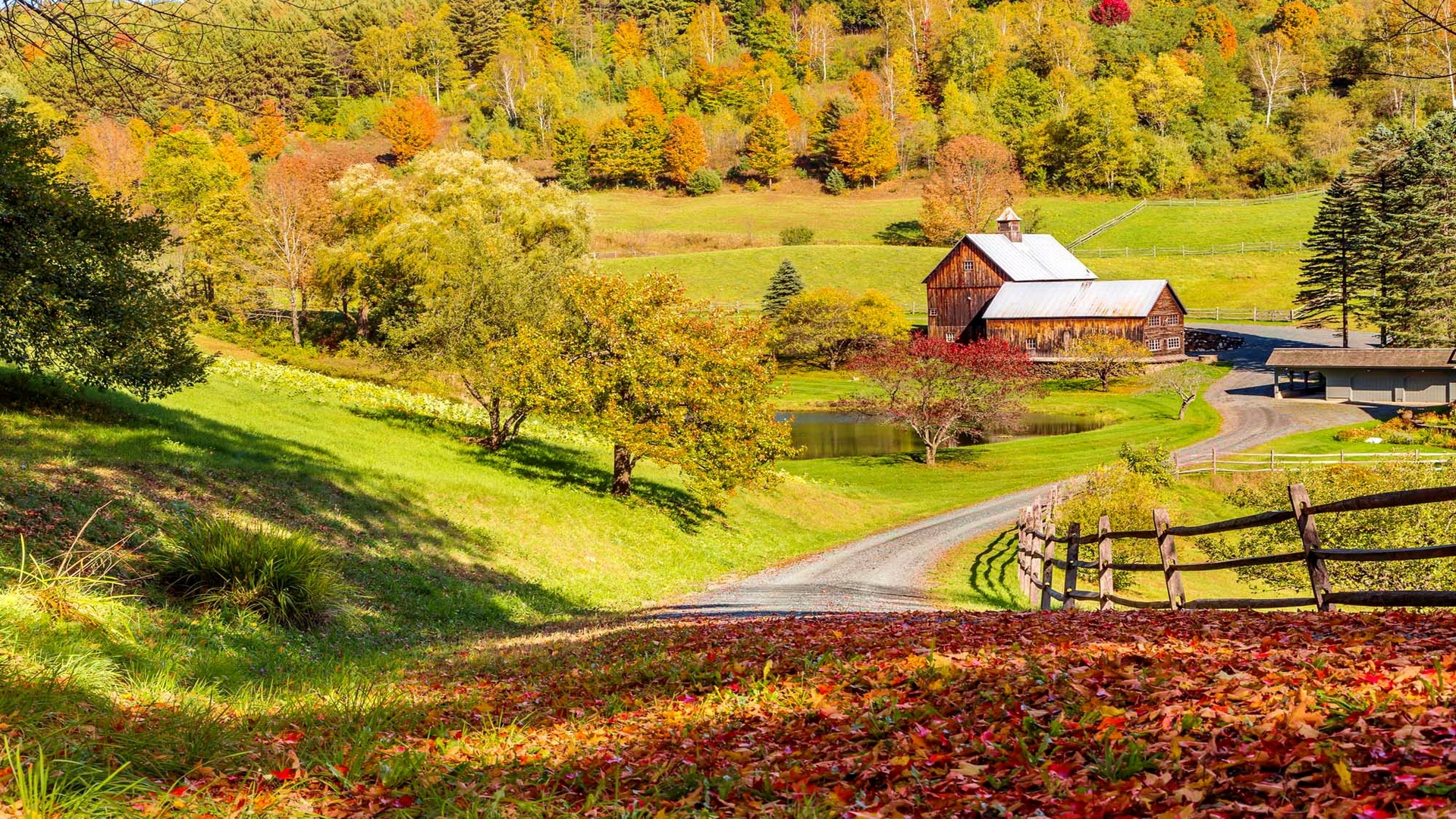 Wallpaper / fall, autumn, house, vermont, cottage, beautiful, trees, foliage, countryside, path, peaceful, village, field, landscape free download