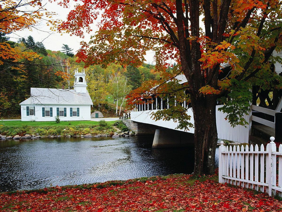 United Kingdom, Autumn, House background photo. Download TOP Free image