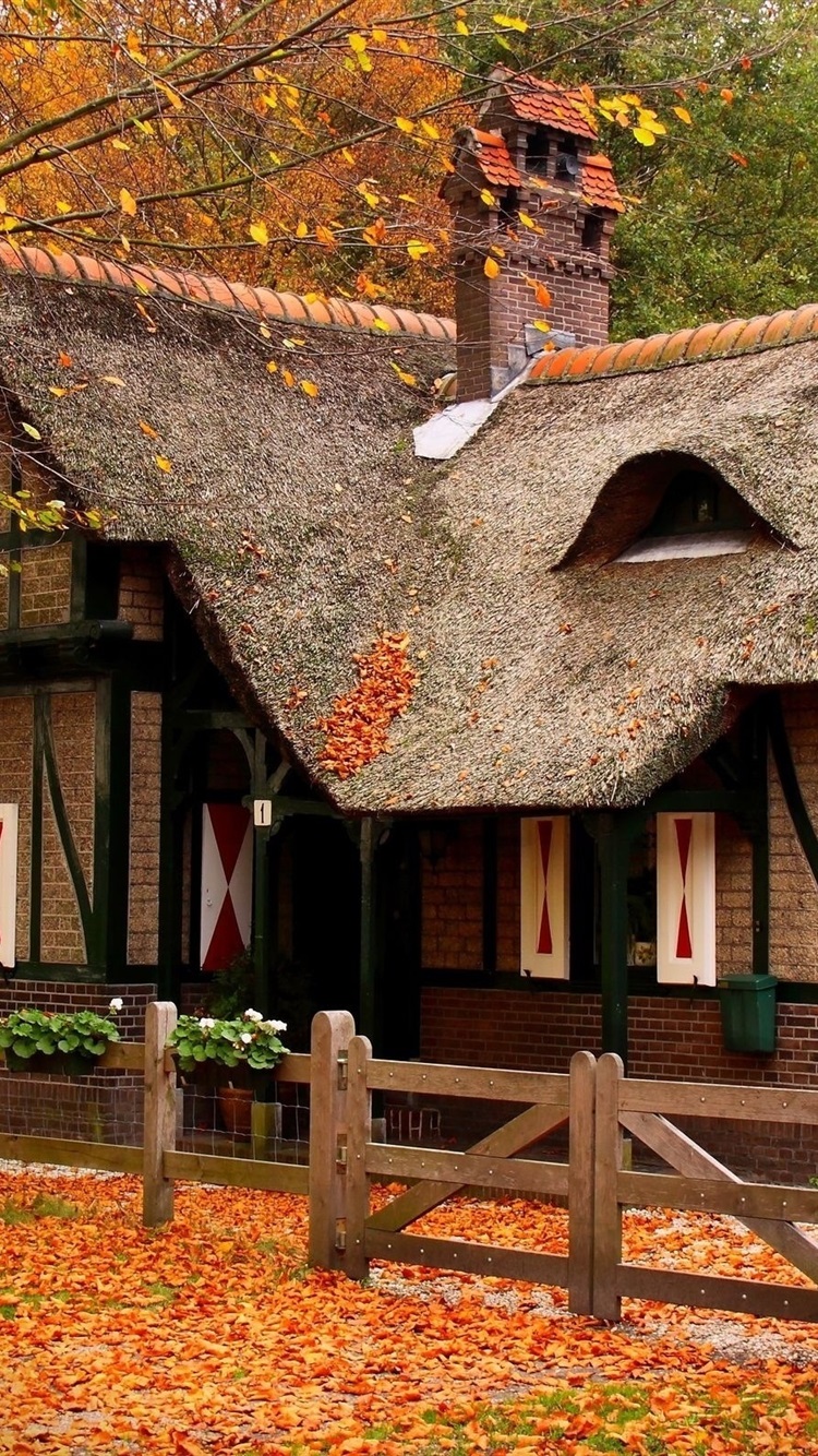 Autumn, House, Trees, Red Leaves, Fence 750x1334 IPhone 8 7 6 6S Wallpaper, Background, Picture, Image