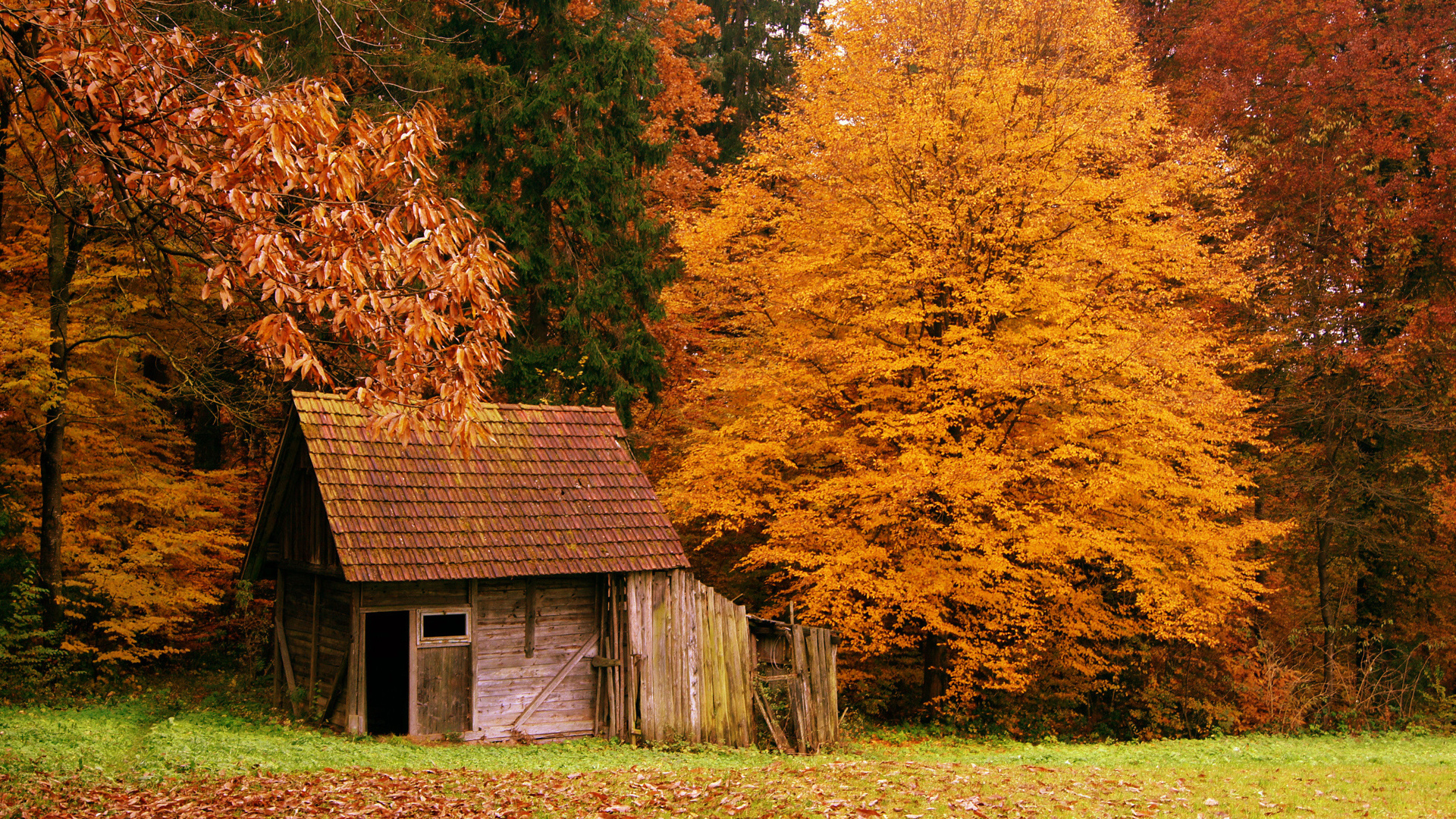 1920x1080 autumn, house, Nature, forest