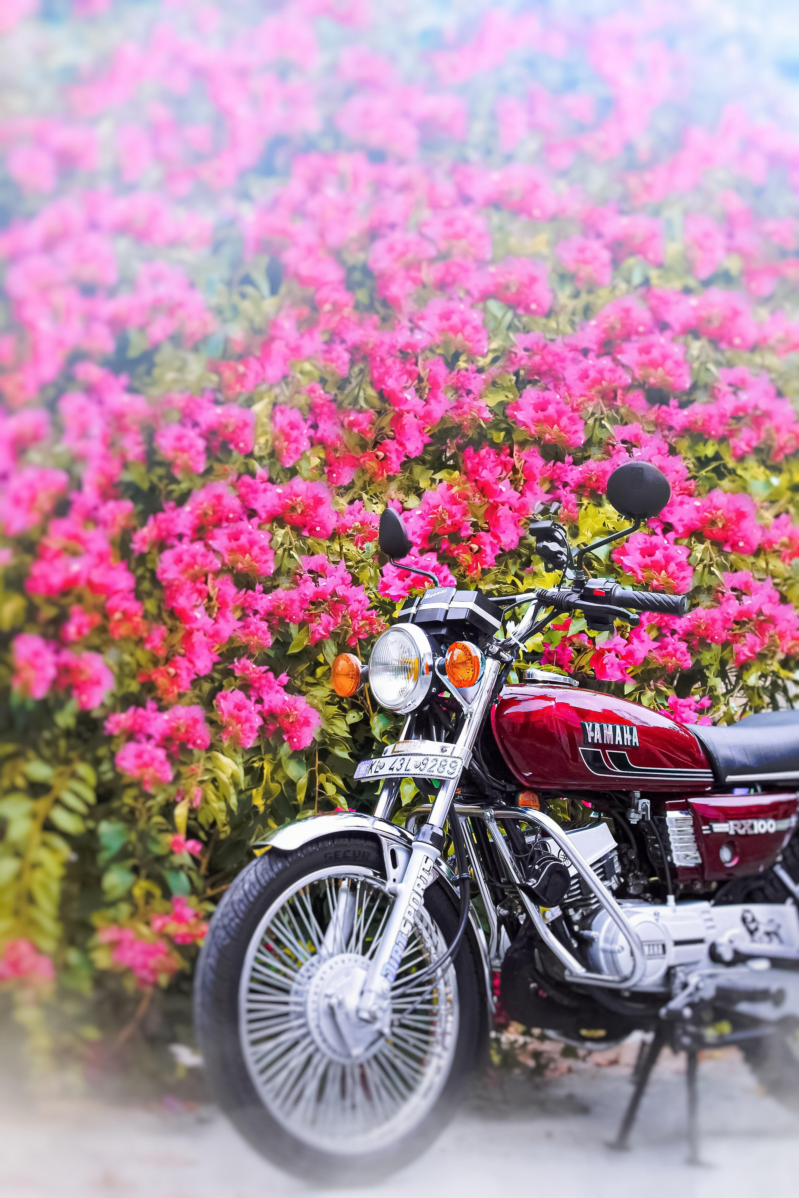 Yamaha rx100 Wallpaper Download
