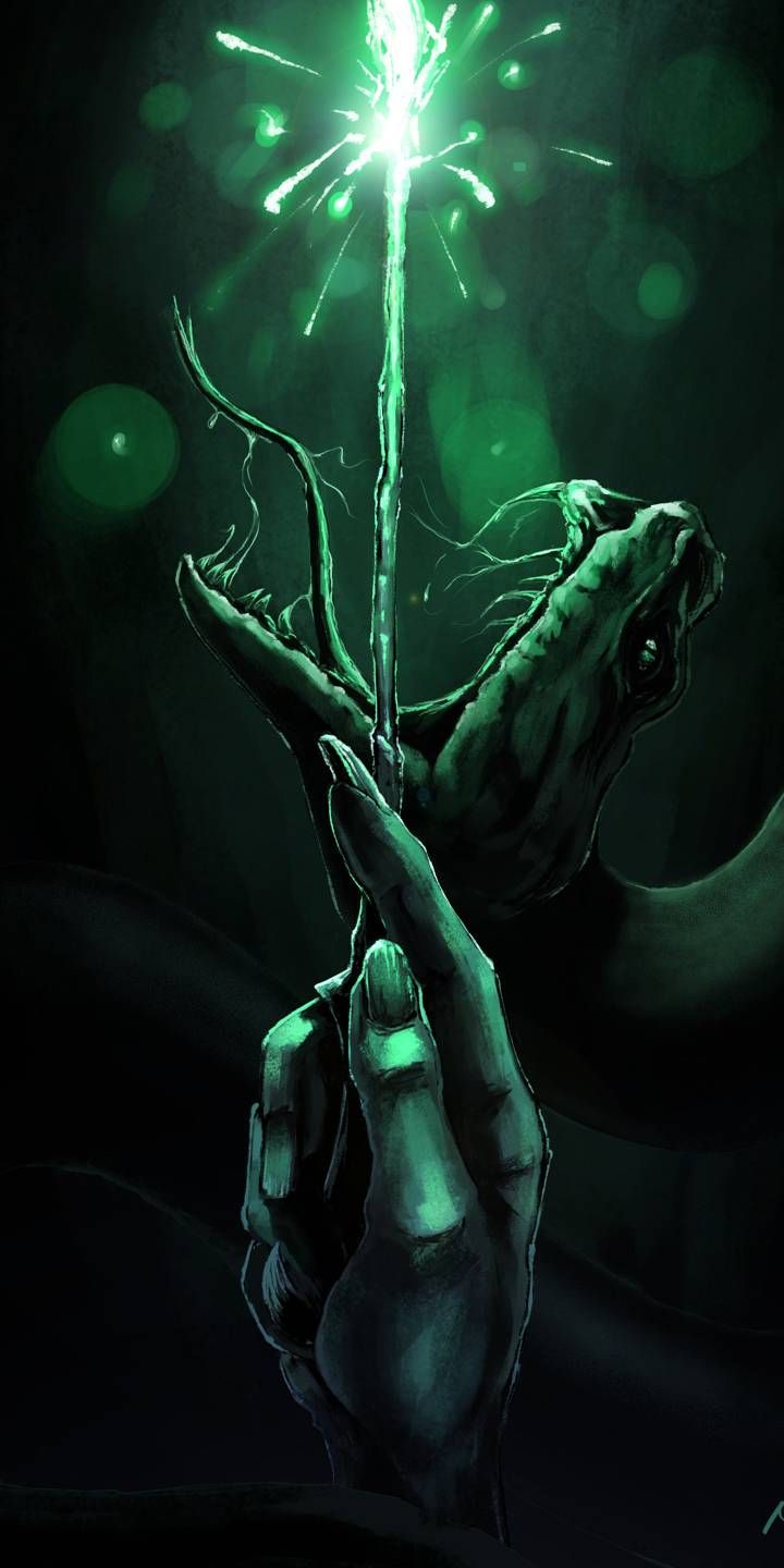 Lord Voldemort And Harry Potter