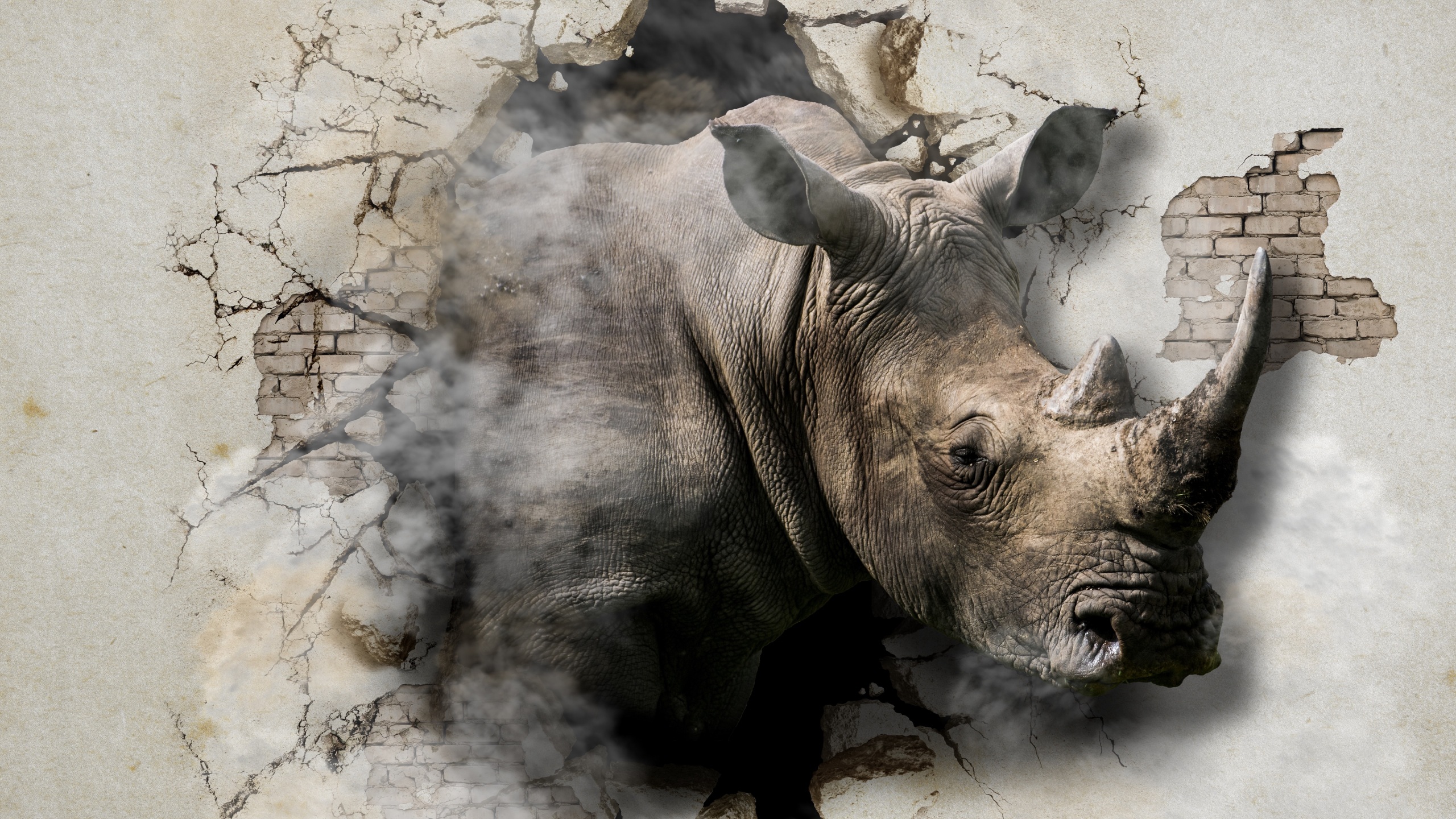 Wallpaper 4k rhinoceros, cracks, wall, art 4k Wallpaper