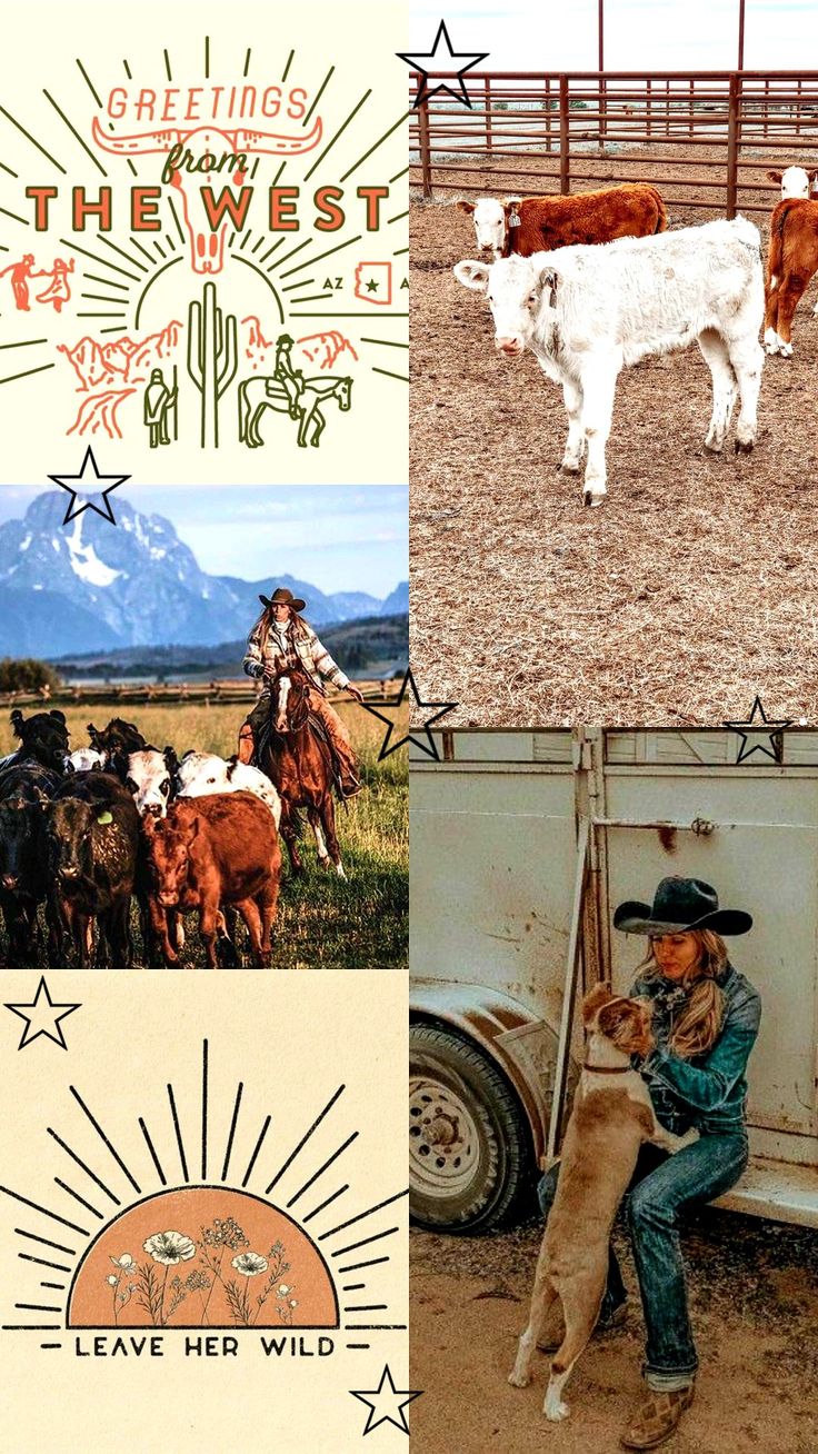 my edit, not my pics