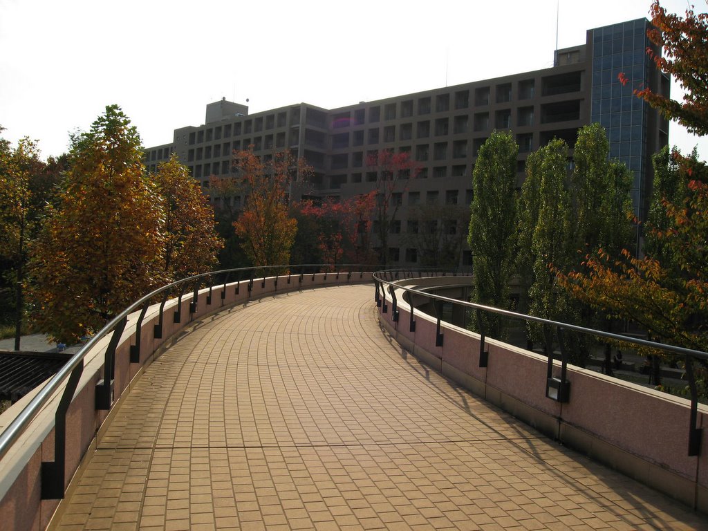 my journal: Picture of Tokyo University of Foreign Studies