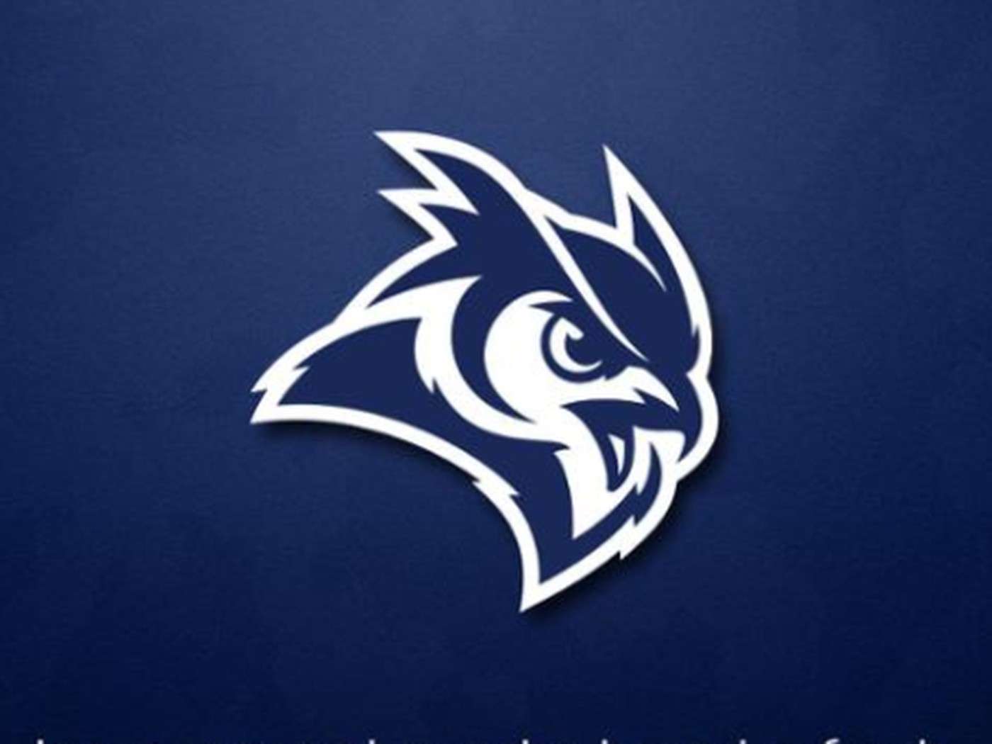 The Rice Owls have a new logo, and it's pretty sweet