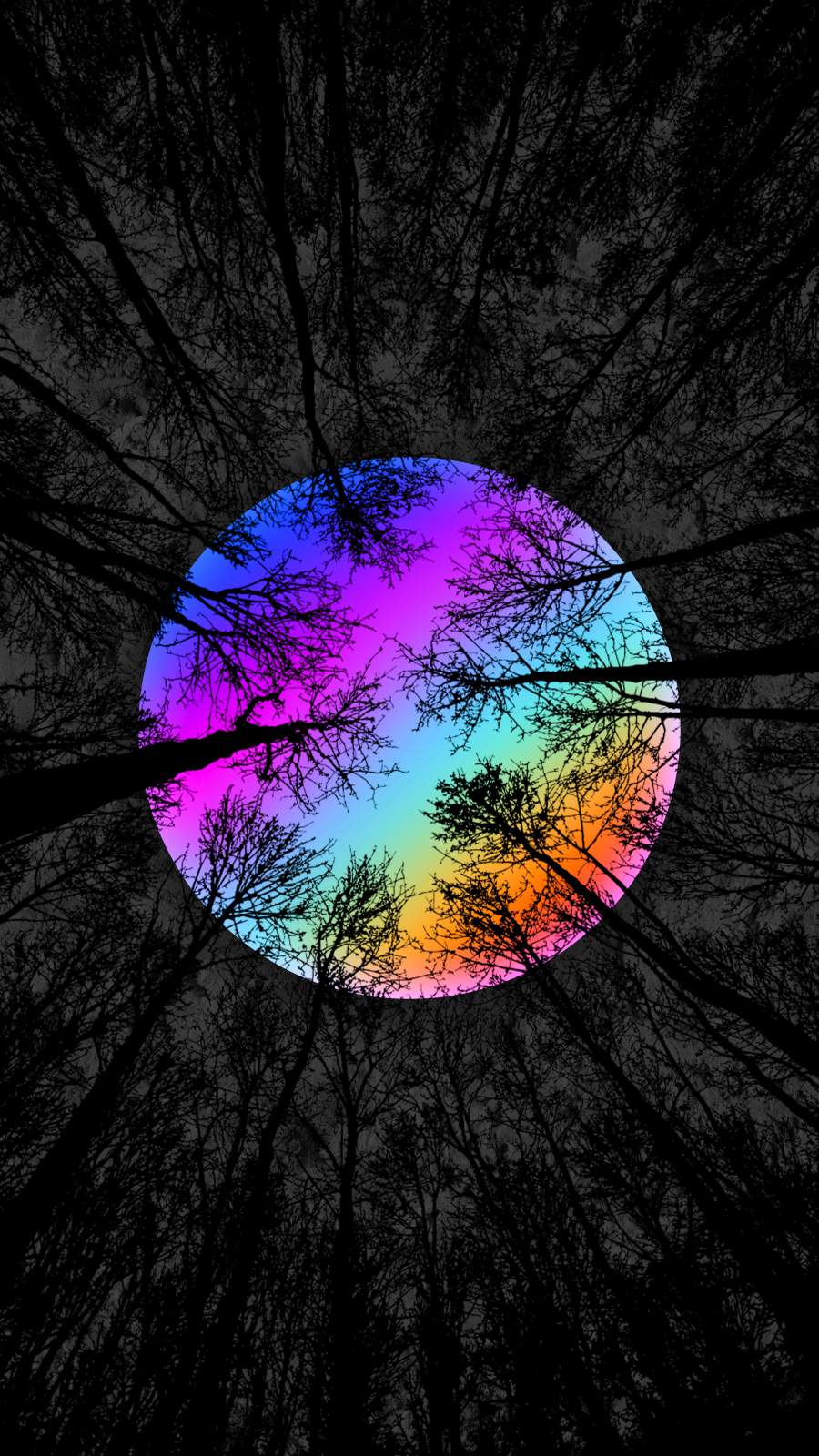 Rainbow Forest iPhone Wallpaper
