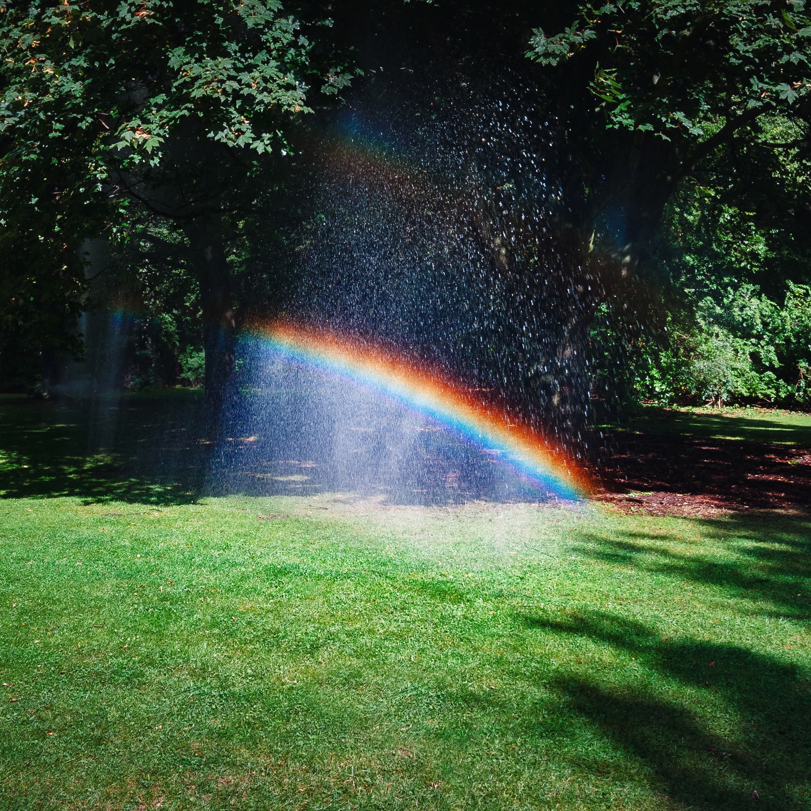 Wallpaper Weekends: Rainbow iPhone Wallpaper