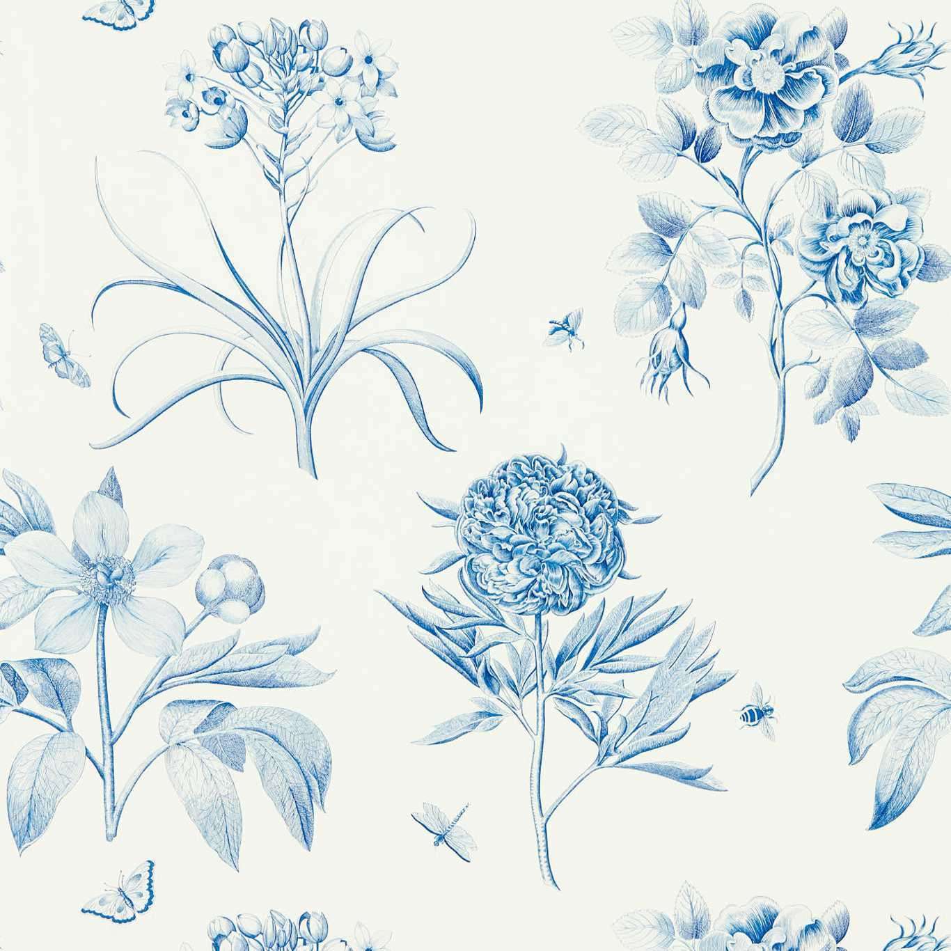 Etchings & Roses wallpaper Sanderson. wallpaper Etchings & Roses 2170