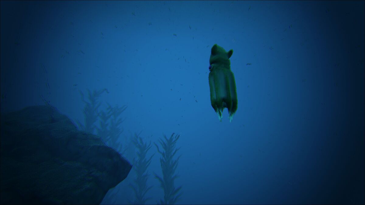 Giant Vampire Squid