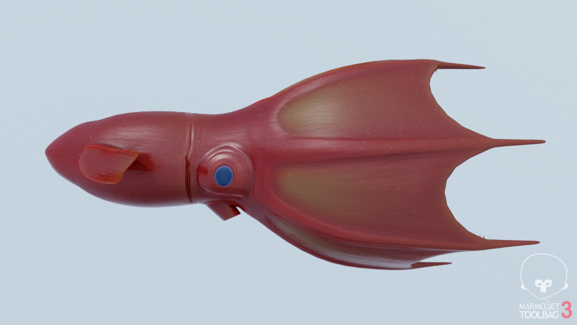 Vampire squid 3D model