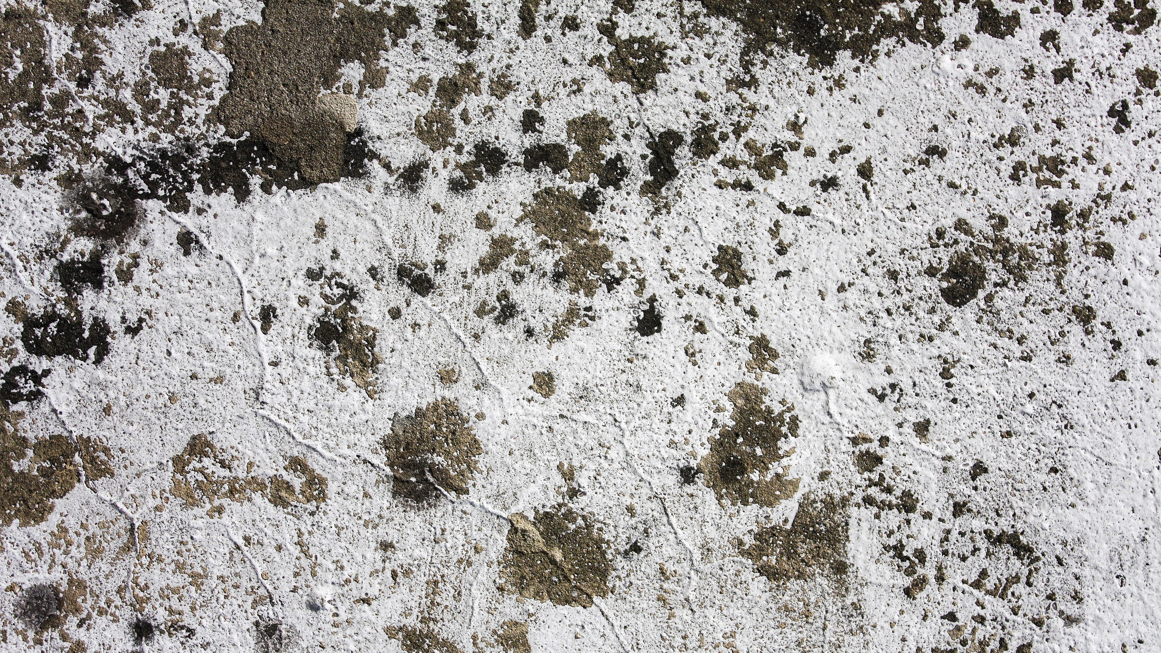 Wallpaper / background grunge texture grunge and white HD 4k wallpaper free download