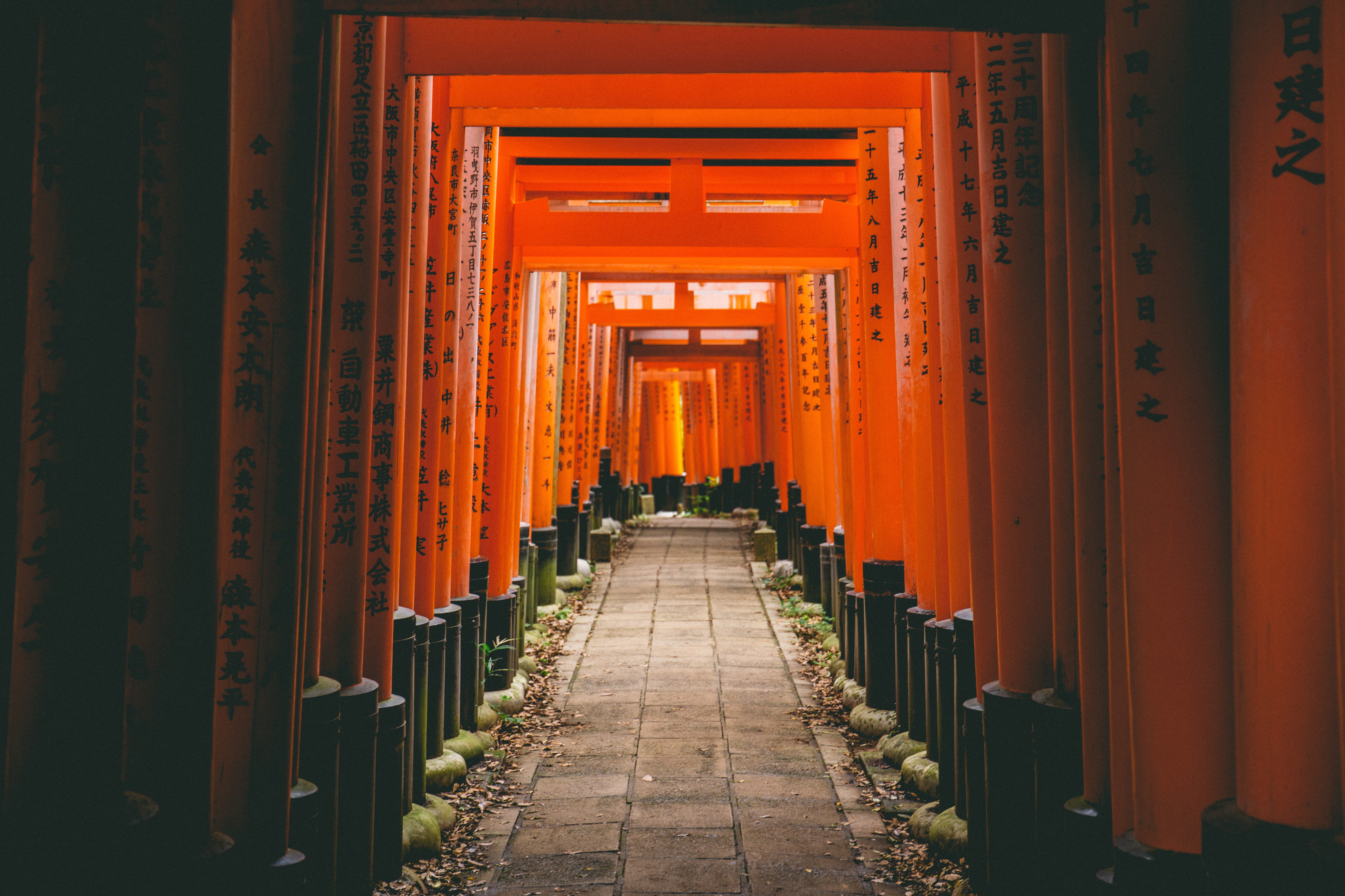 orange torii path japan wallpaper