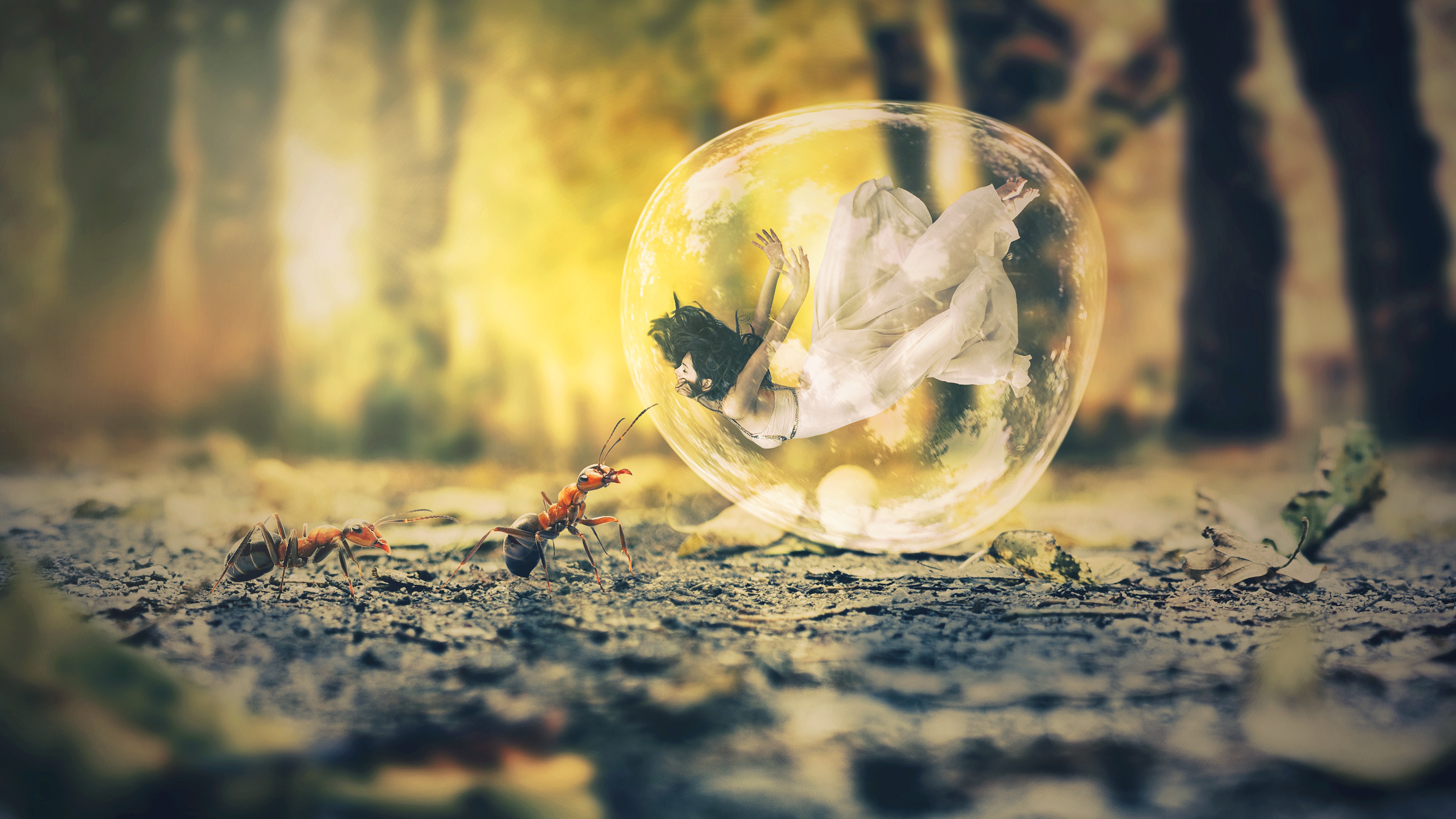 Bubble Ant Dream 4K Wallpaper