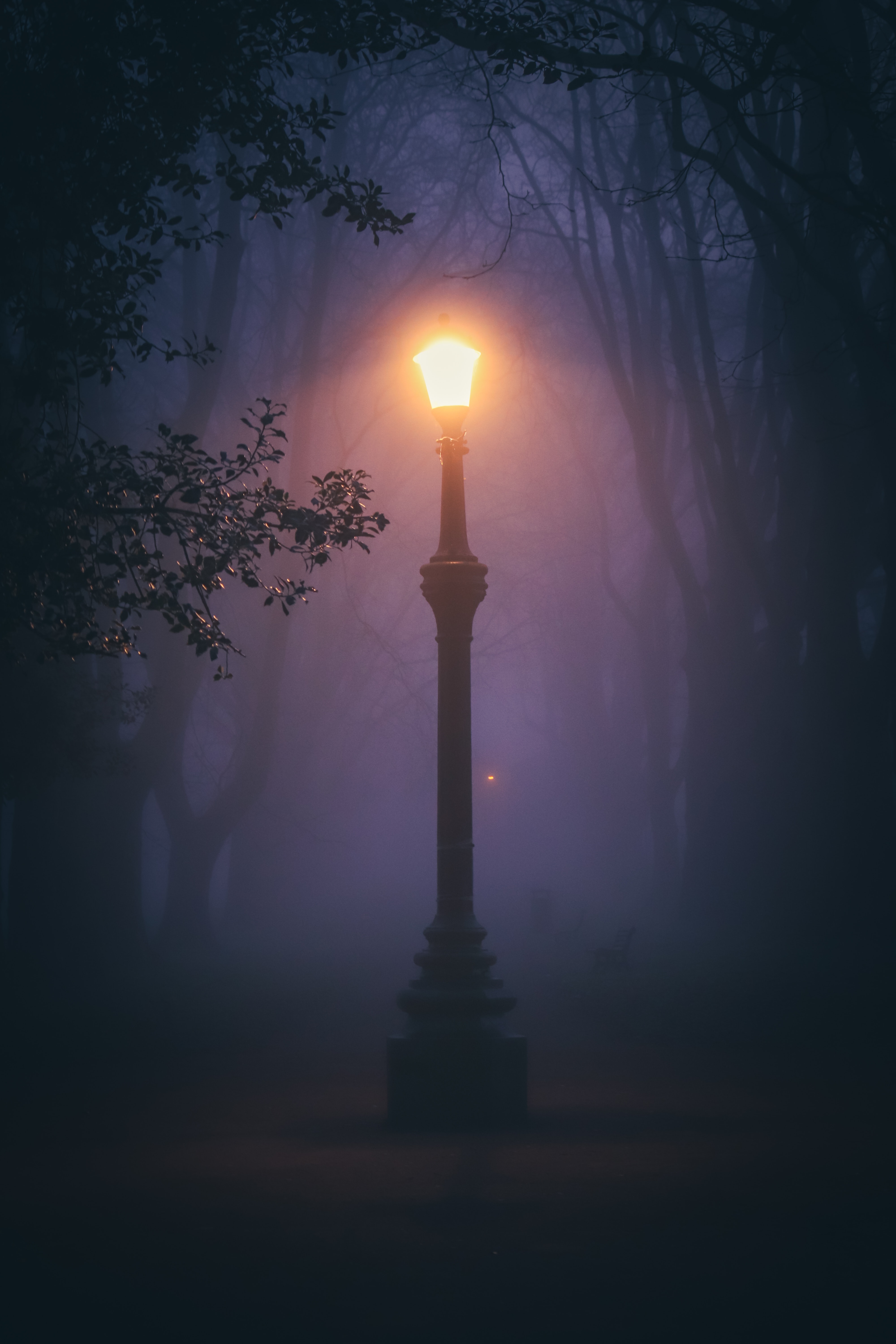 Photograph of a Street Lamp on a Foggy Weather · Free