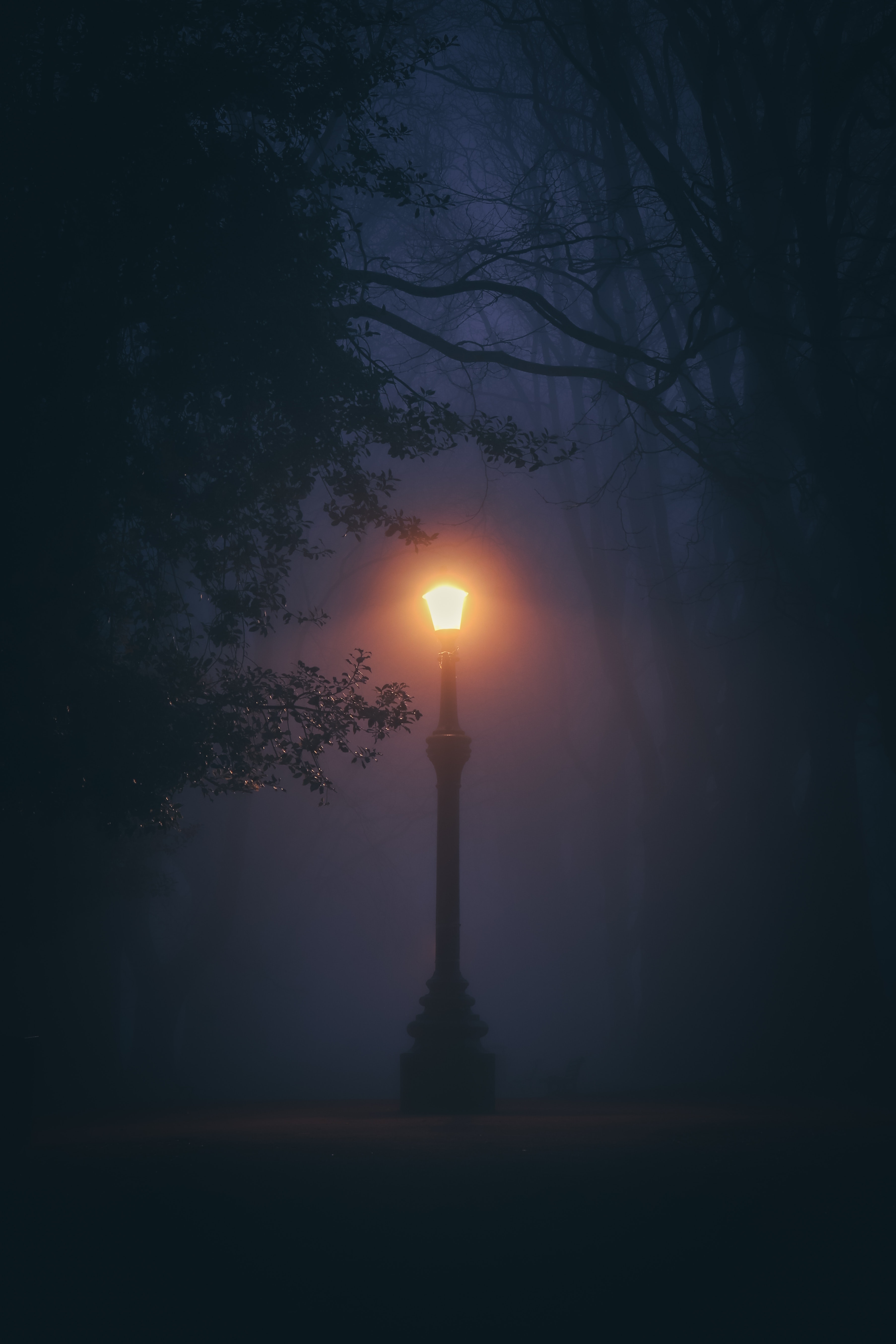 Street Lamp In The Fog Wallpapers - Wallpaper Cave