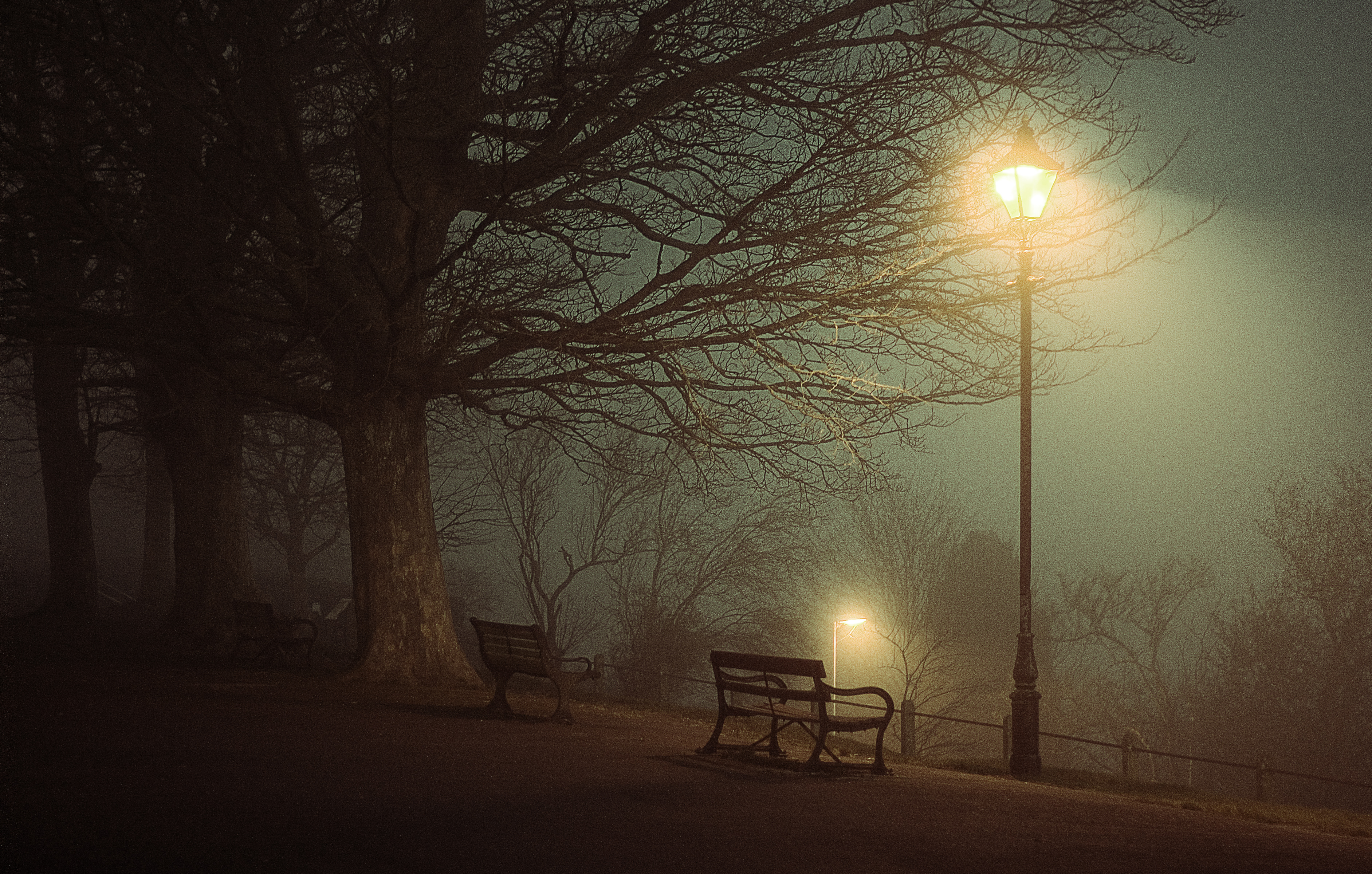 Wallpaper, sunlight, landscape, street light, night, sky, park, snow, winter, branch, sunrise, Dorset, cold, evening, morning, mist, frost, bench, lamp, Canon, atmosphere, Freezing, midnight, tree, 50mm, fog, walk, 18, dawn, lighting