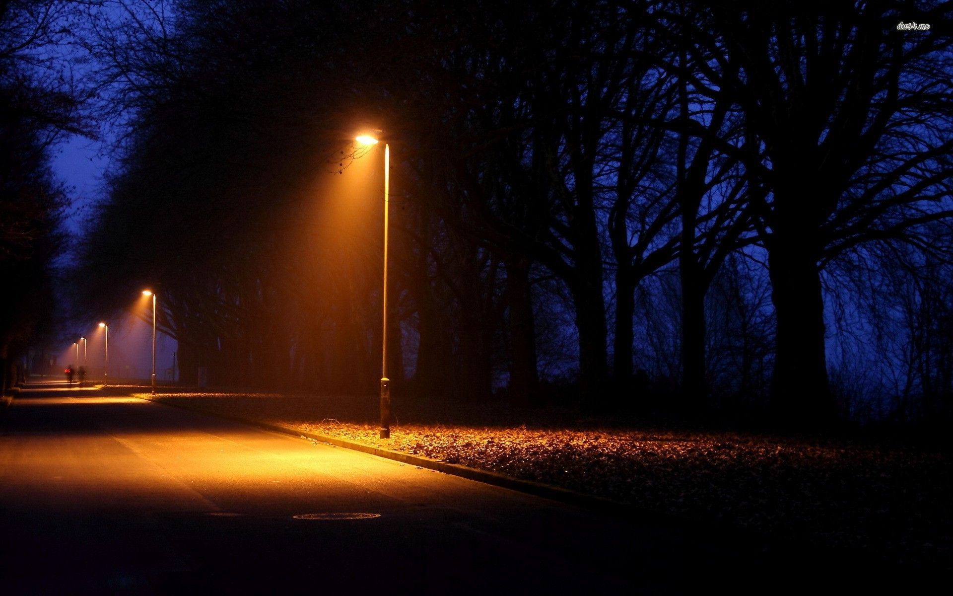 image For > Street Light At Night. Street lamp, Light background image, Urban landscape