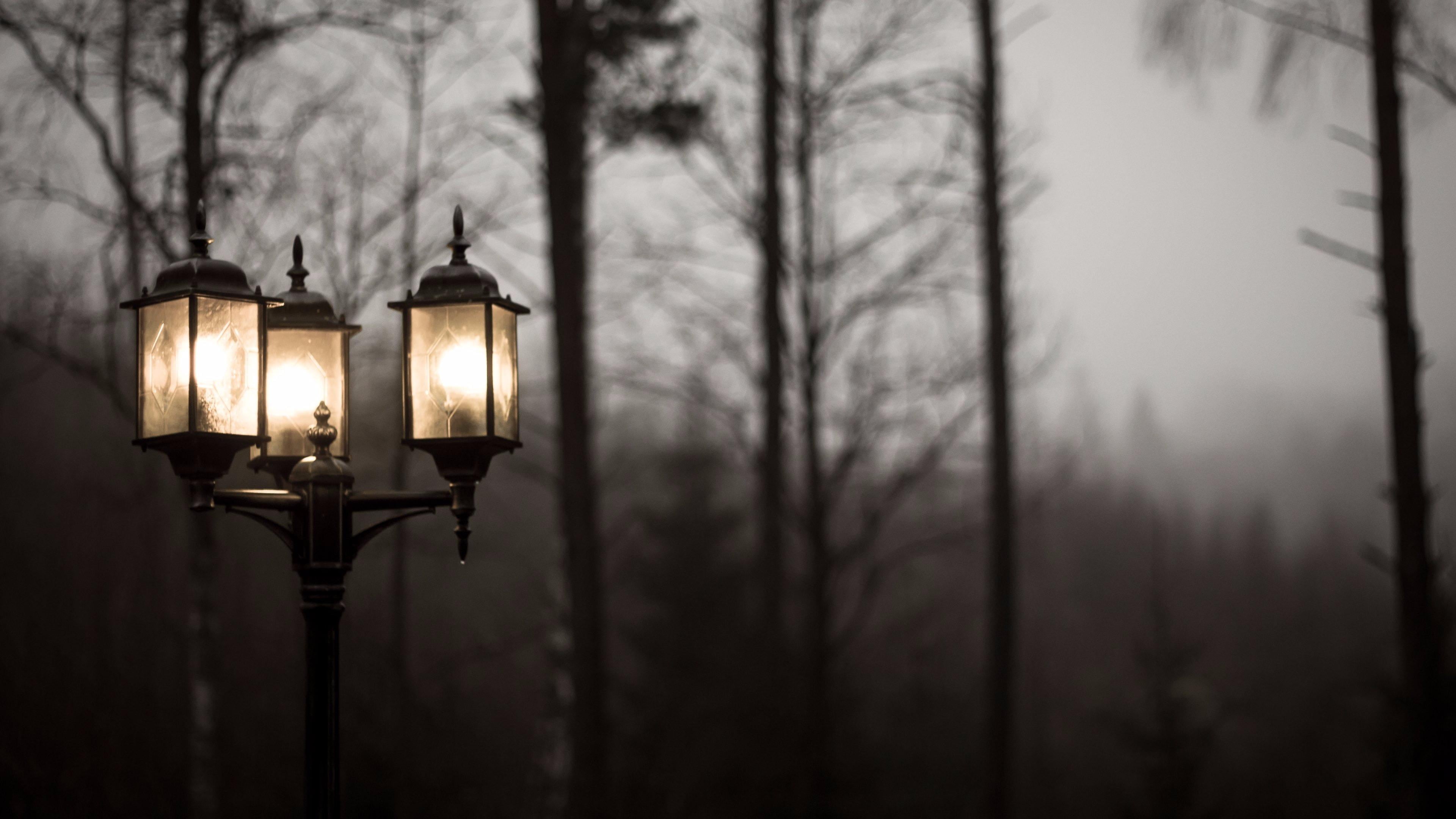 Wallpaper / street lamp, streetlight, winter, twilight, electricity, street light, 4K, foggy, evening, mist, no people, branch, dusk, light, gloomy, dark, fog, glowing free download