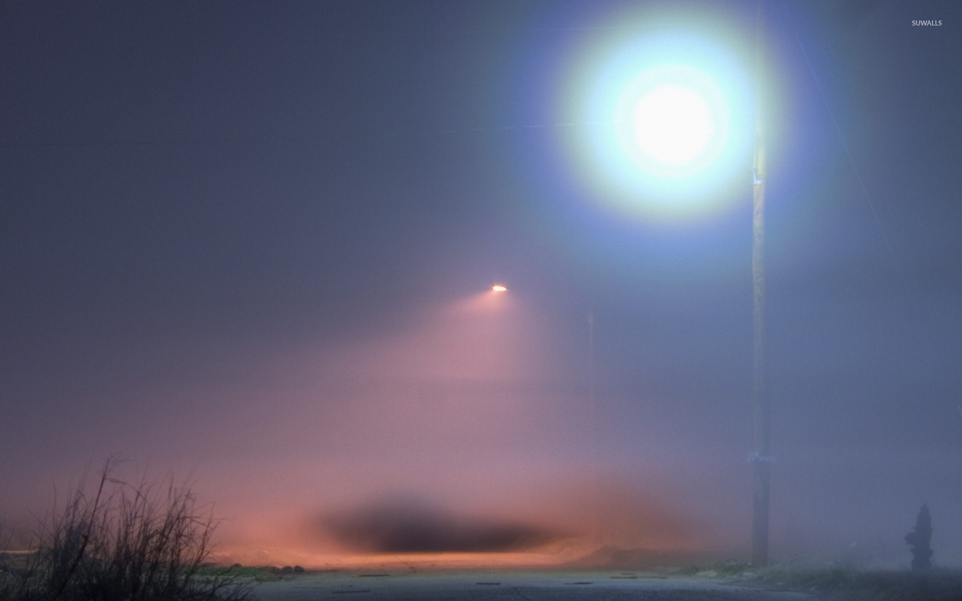 Street light above the foggy path wallpaper wallpaper