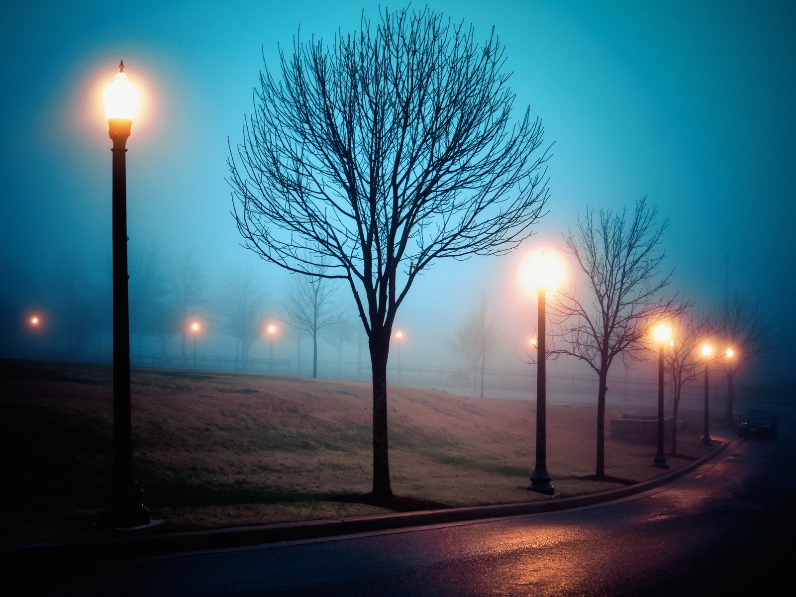 Wallpaper Fog, city, street, park, lights, night 1920x1200 HD Picture, Image