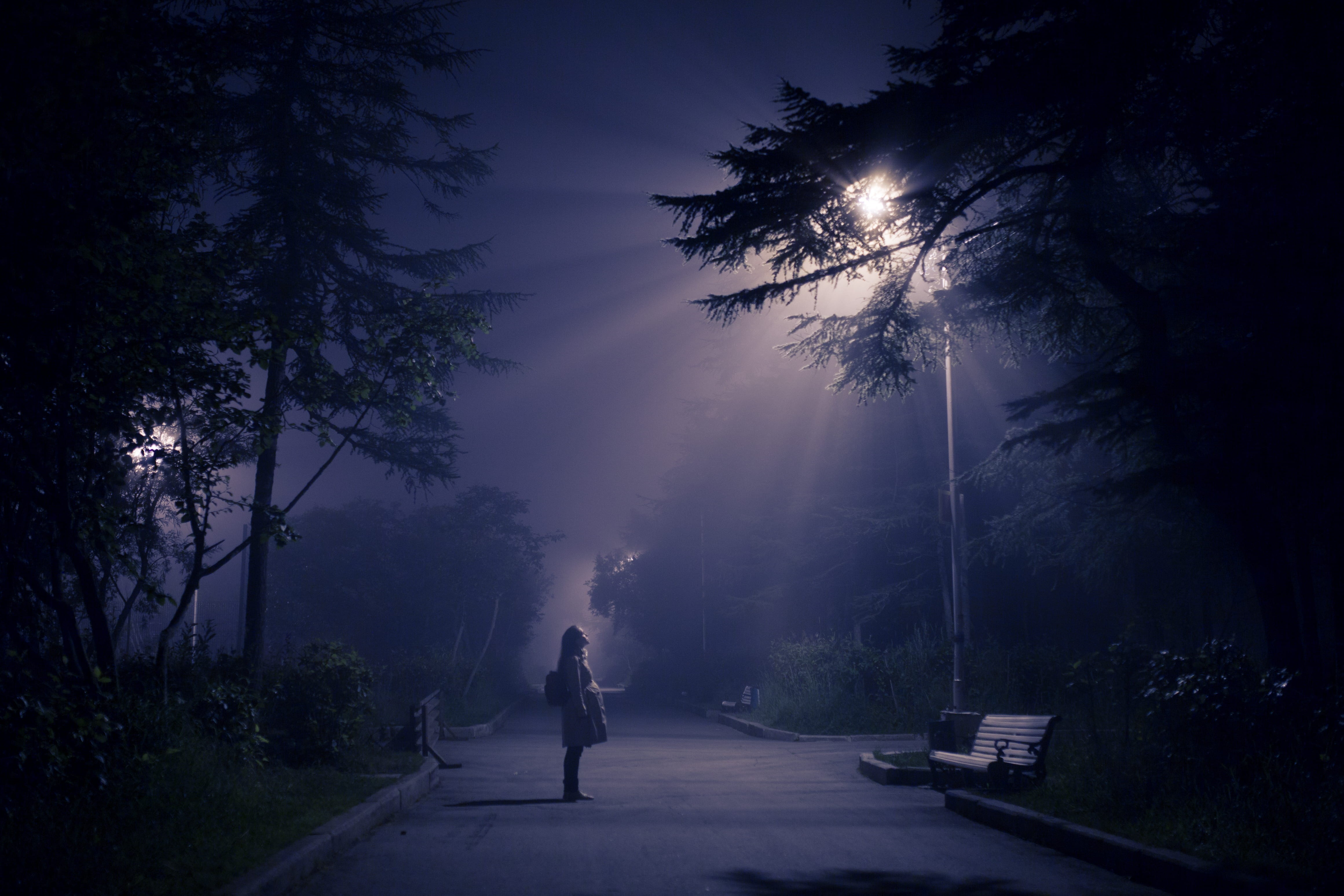 full length, tree, sky, light ray, lamp, looking at light, road, 4K, growth, transportation, street, person, fog, one person, park at night, the way forward HD Wallpaper