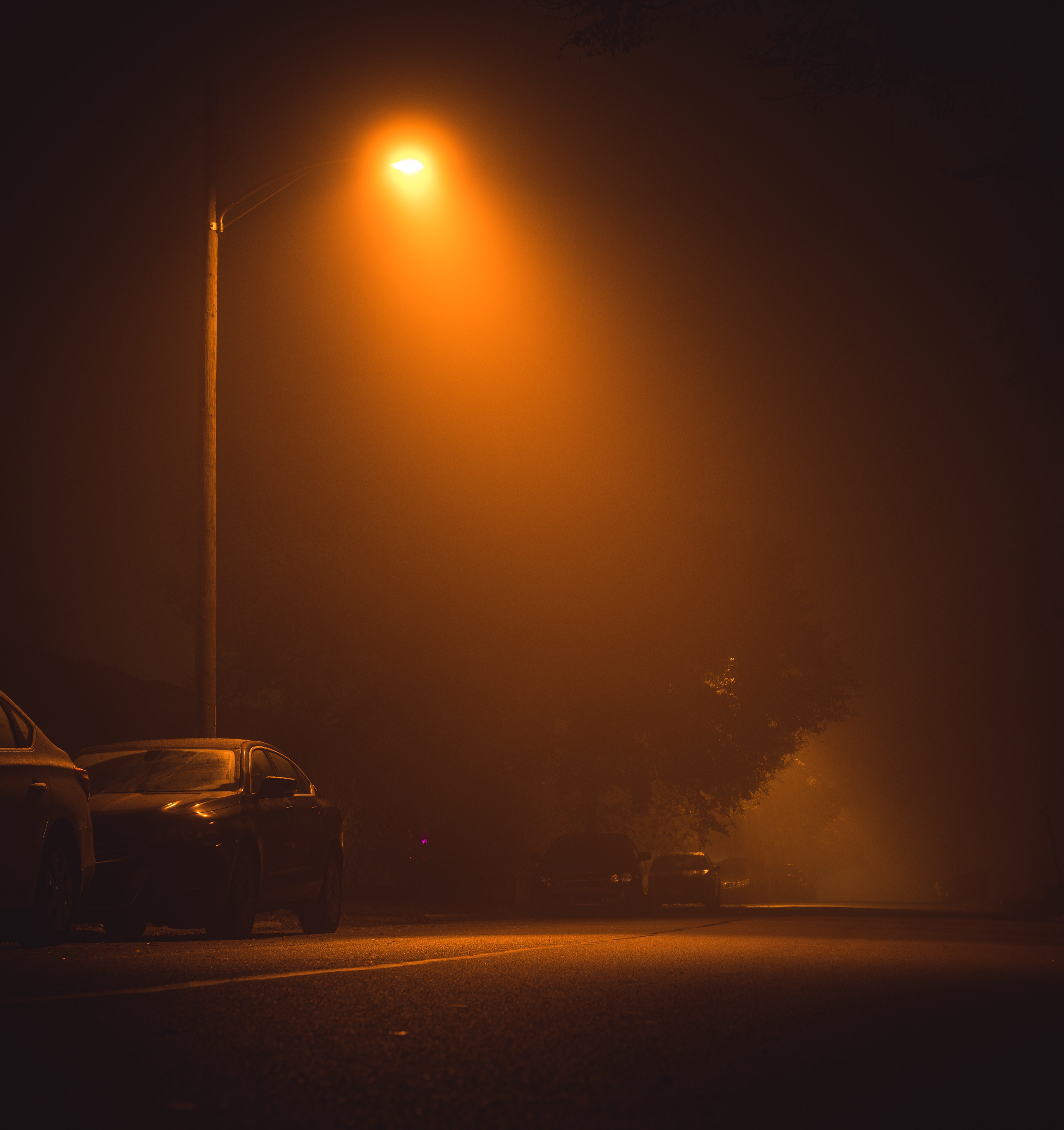 Street, night, fog, car, lights, HD phone wallpaper