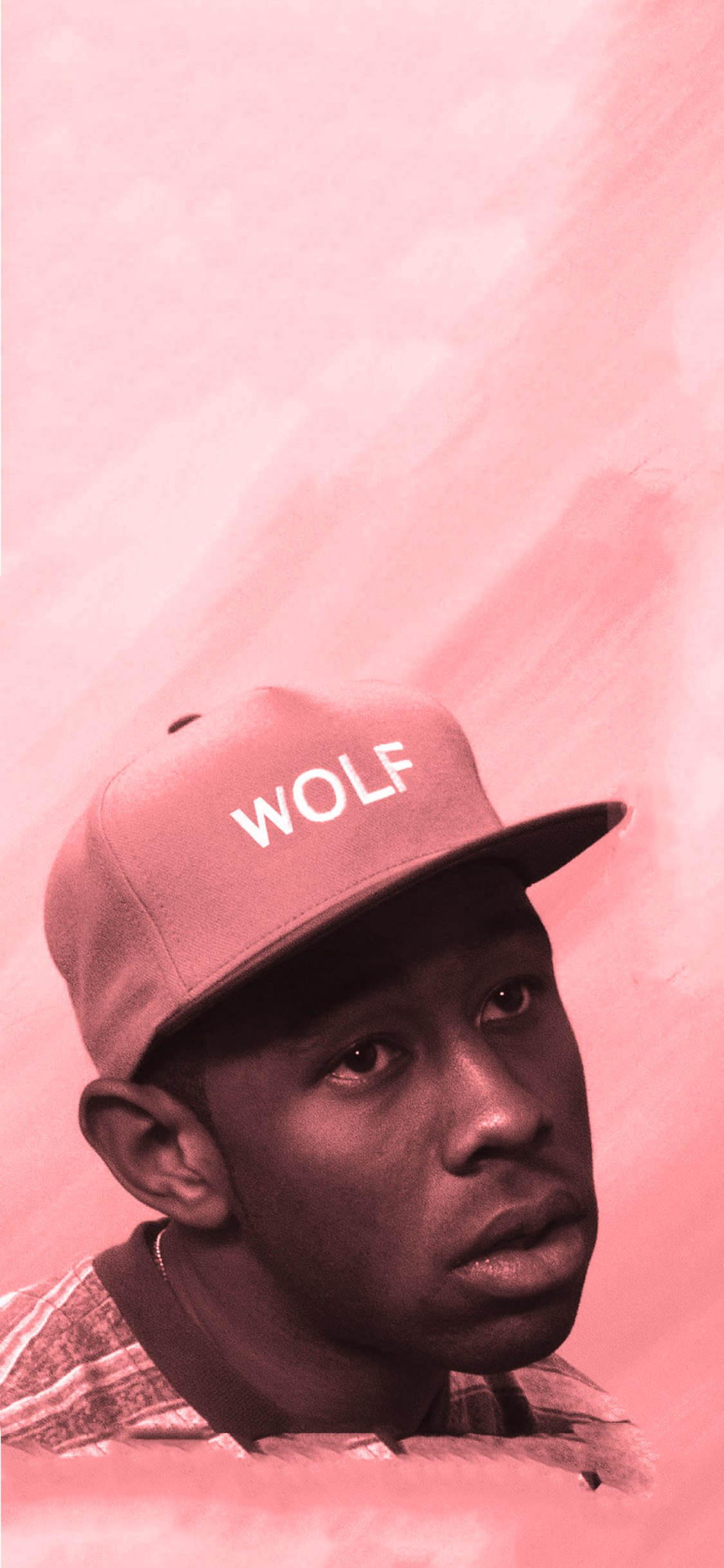 CM Designs - Tyler The Creator Wolf Color Scheme Wallpaper