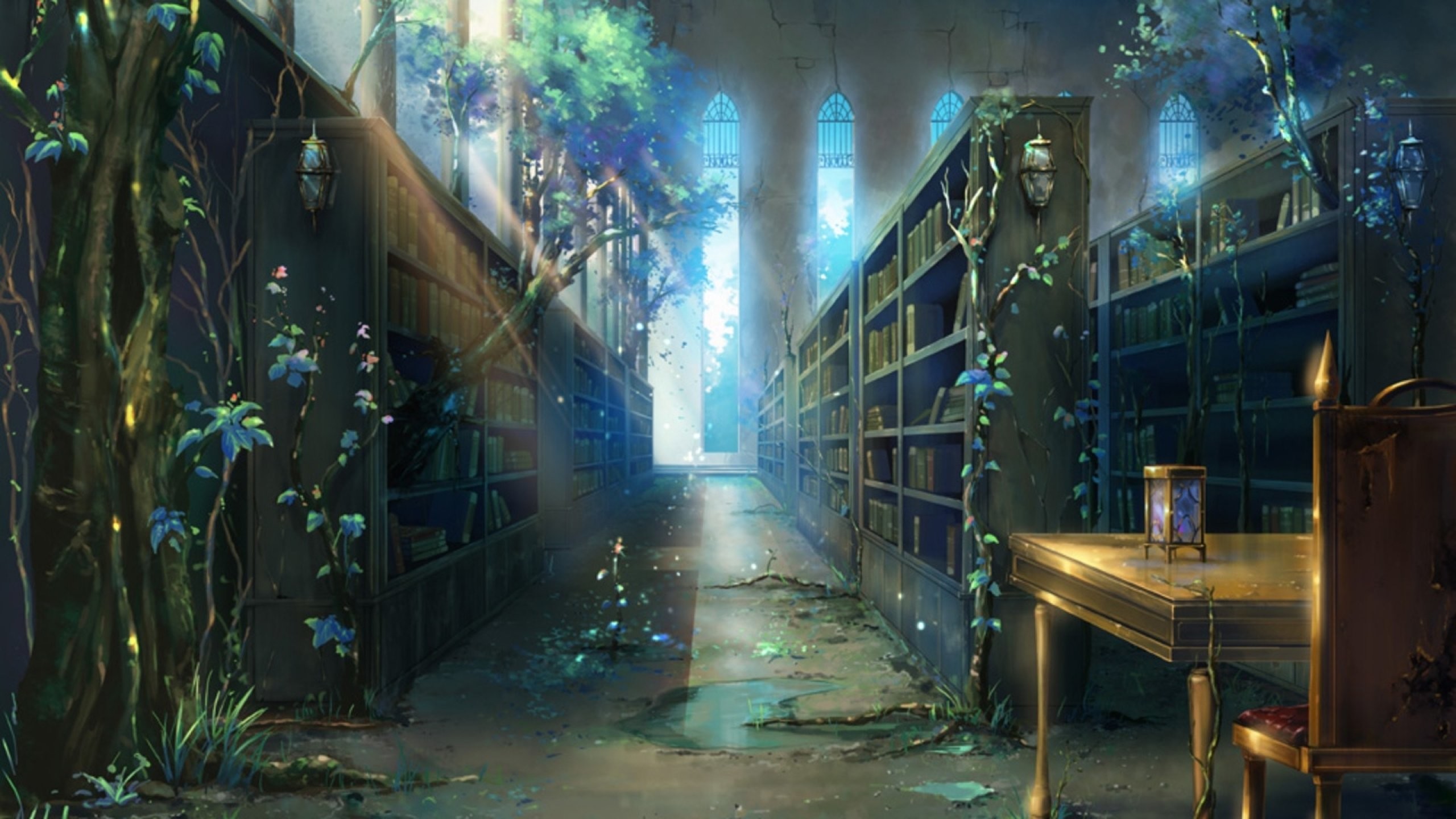 Library Background Image