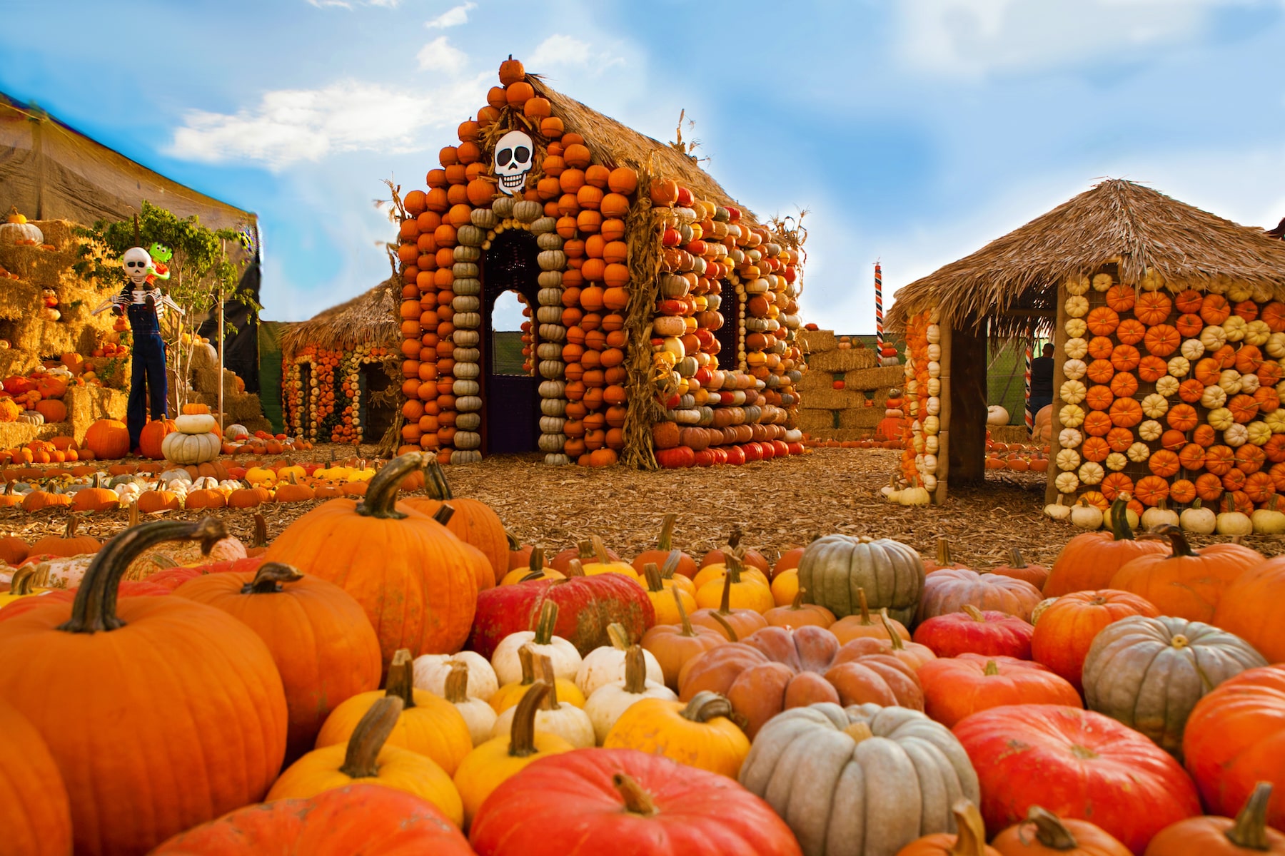 Pick Your Perfect Pumpkin at These 5 Pumpkin Patches in LA