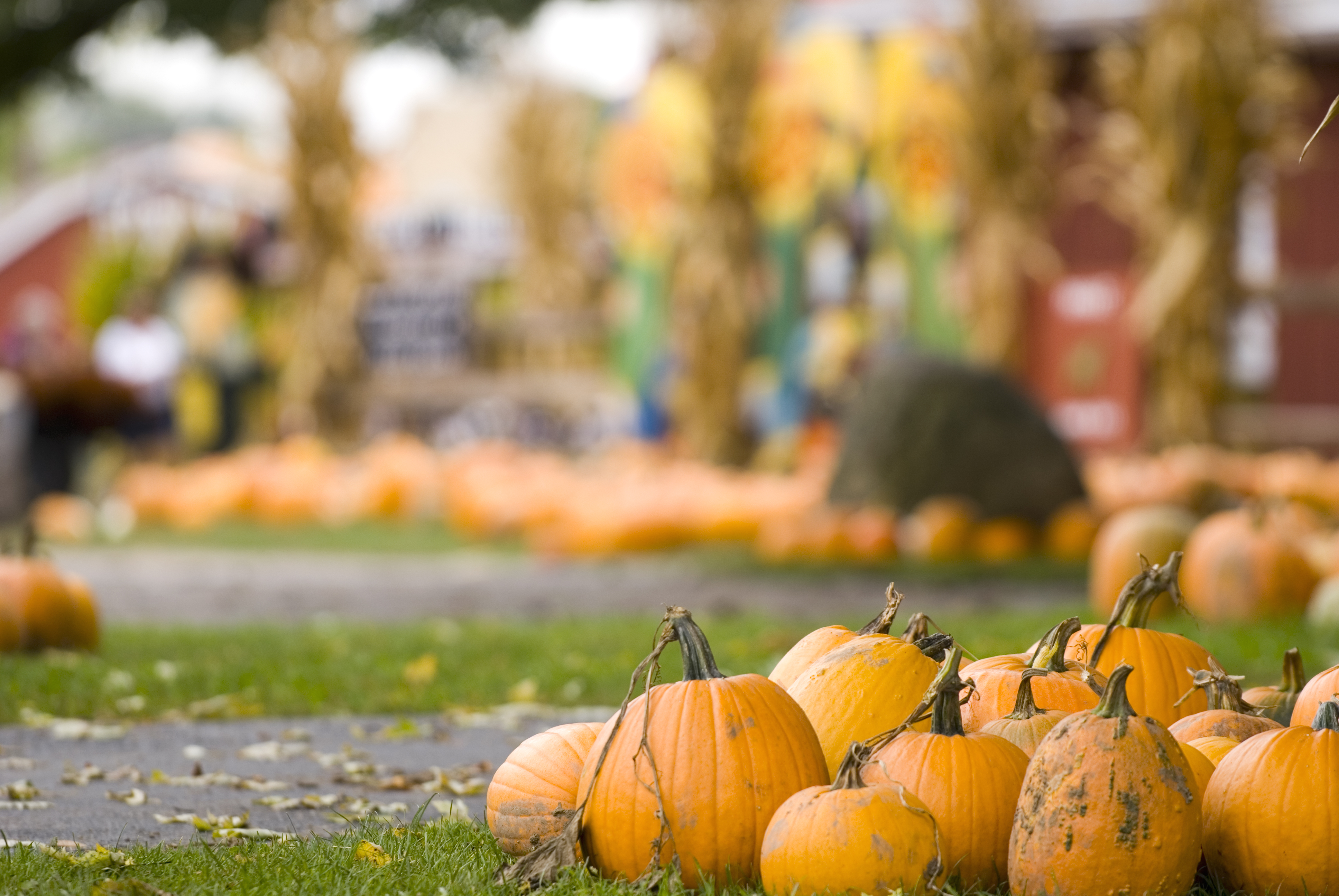 LIST: October fall festivals across Pennsylvania