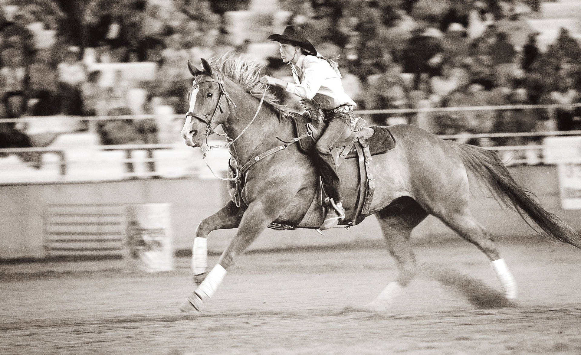 Download Vintage Cowgirl Quarter Horse Barrel Racing Event Wallpaper