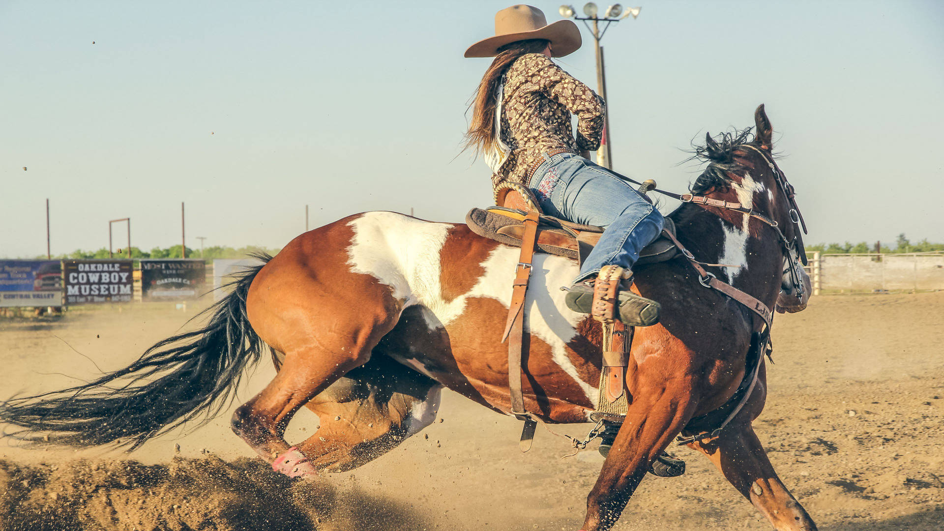 Download Champion Barrel Racer in Action Wallpaper