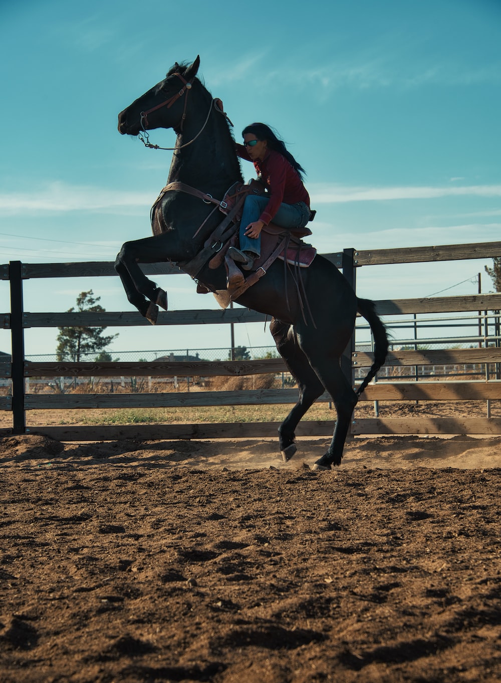 Man in red shirt riding brown horse during daytime photo