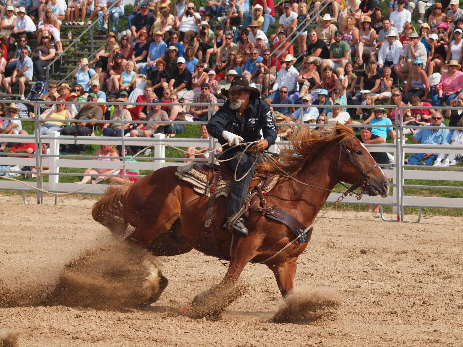 Download Focusing on the finish line: Barrel racing at its best Wallpaper