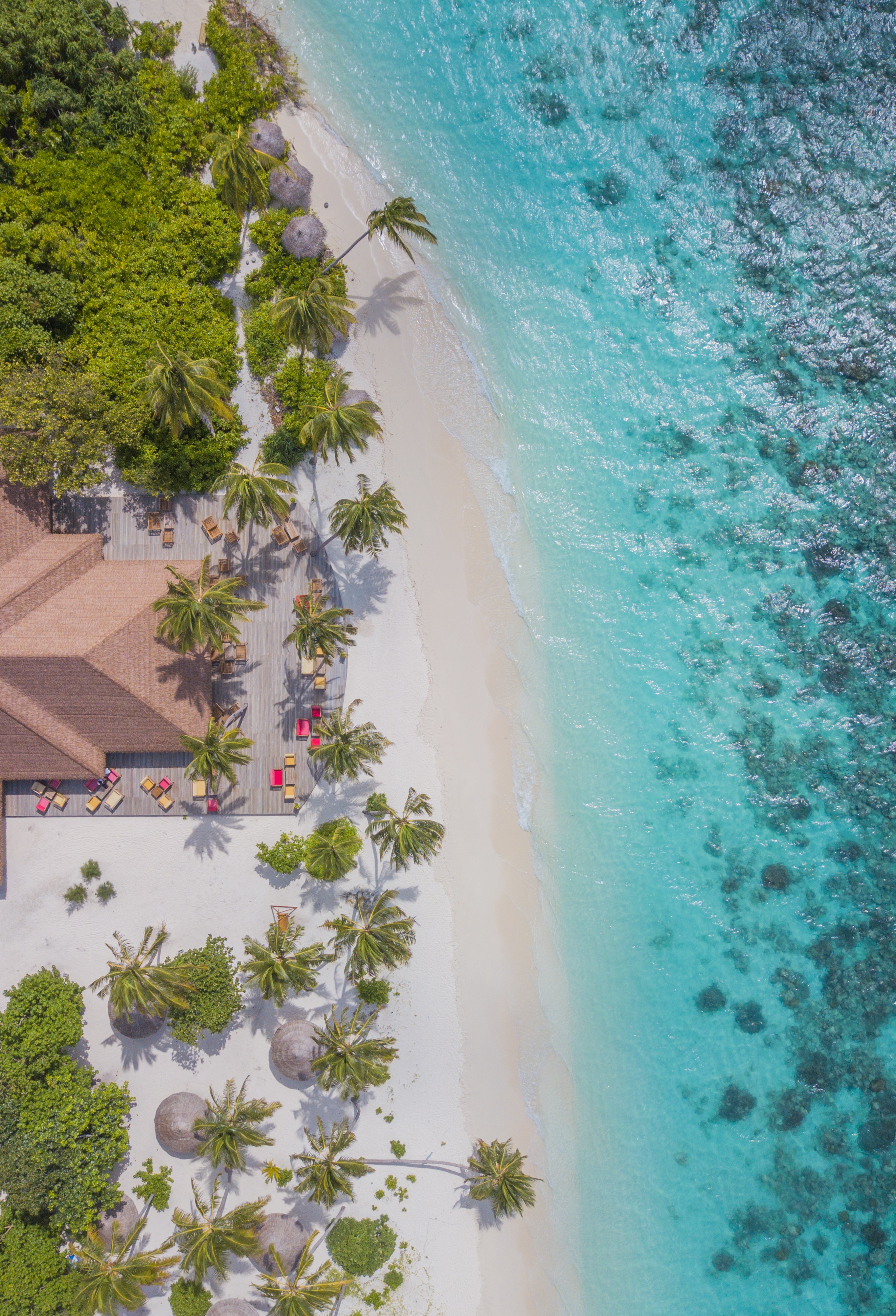 W.forfun.com Fetch E0 E07f753c653fd5000a0b9b9e5a41