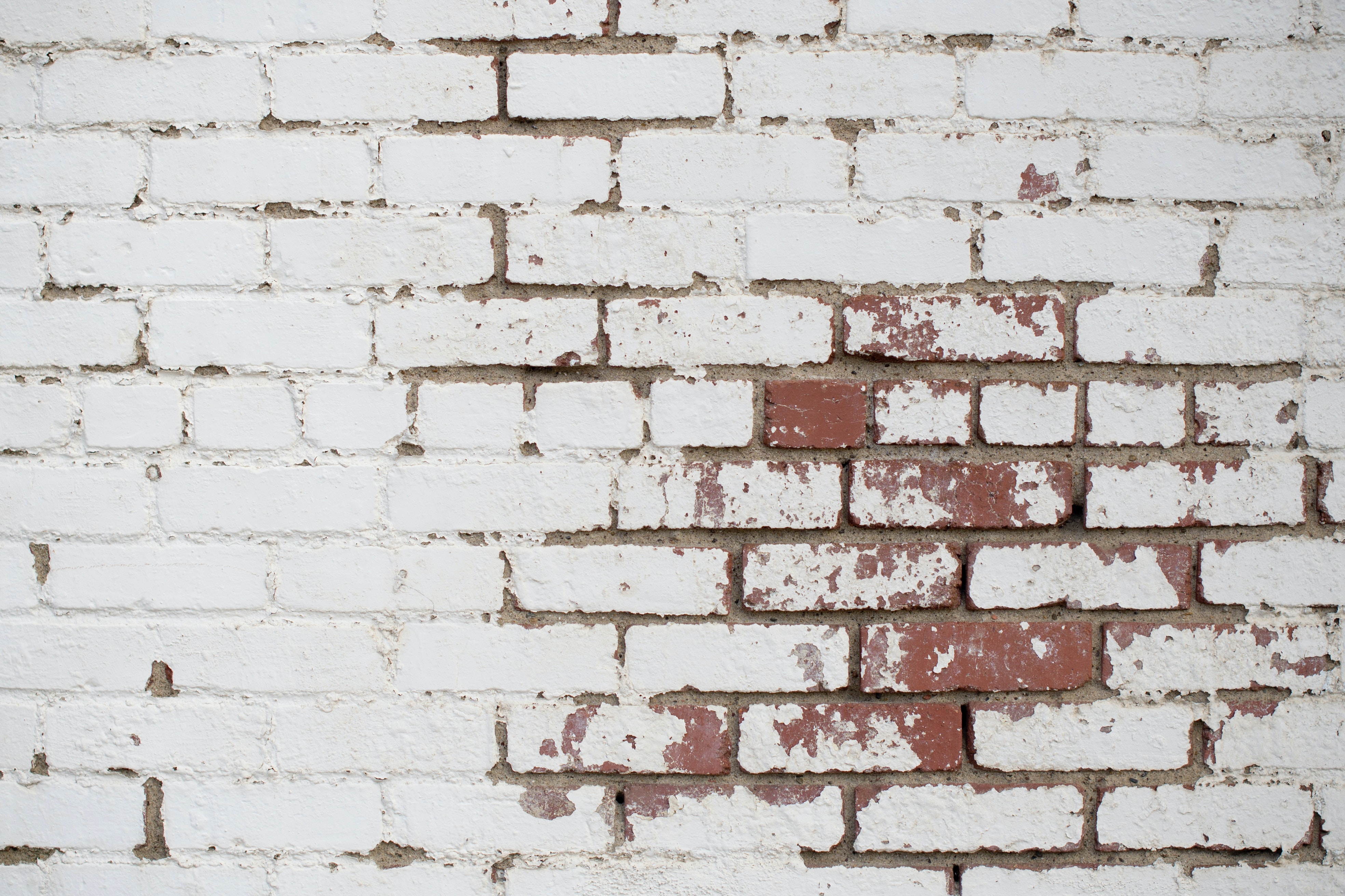 Brick Wall Photo, Download The BEST Free Brick Wall & HD Image