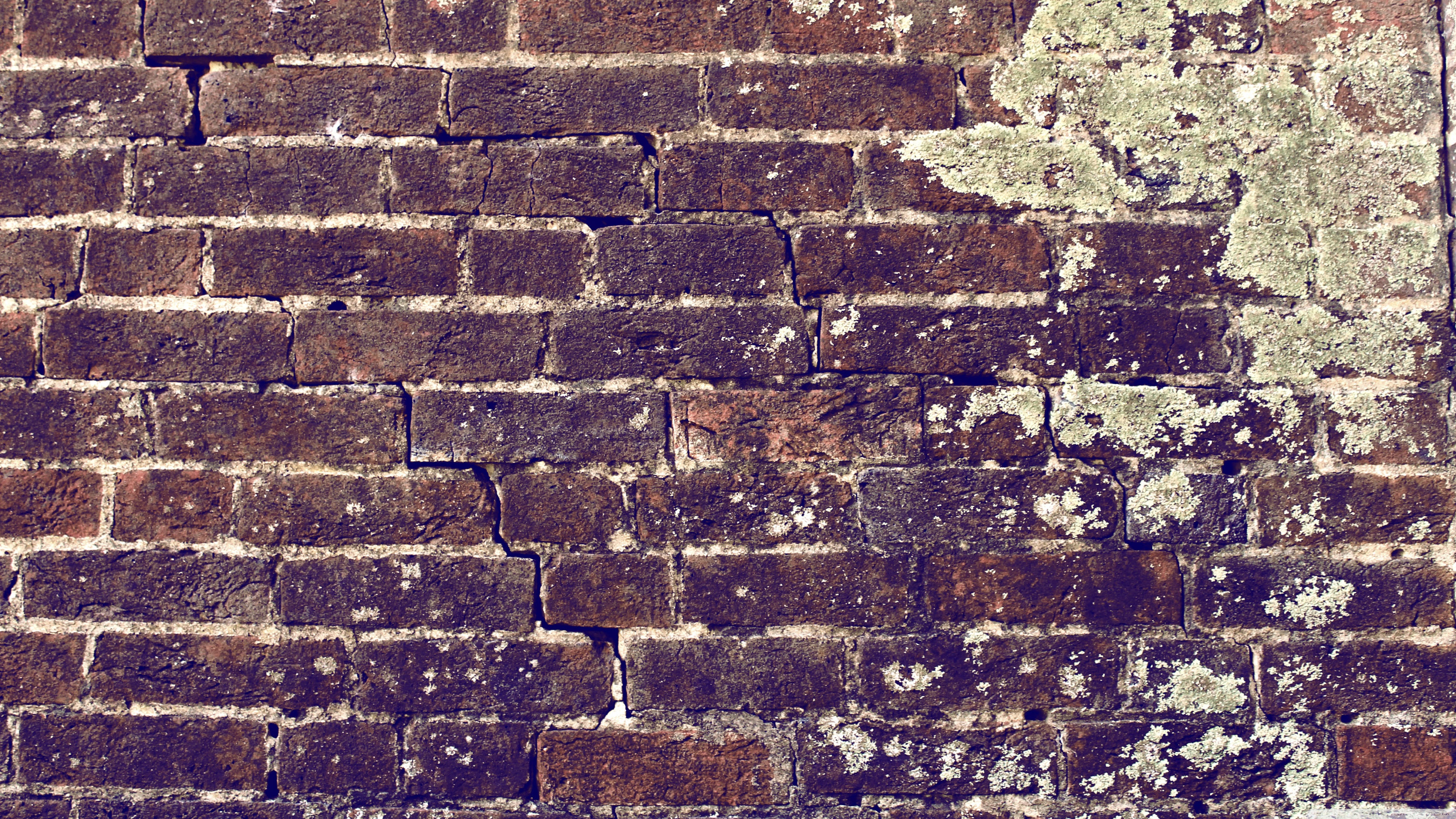 Brick Wall Ultra HD Desktop Background Wallpaper for 4K UHD TV, Multi Display, Dual Monitor