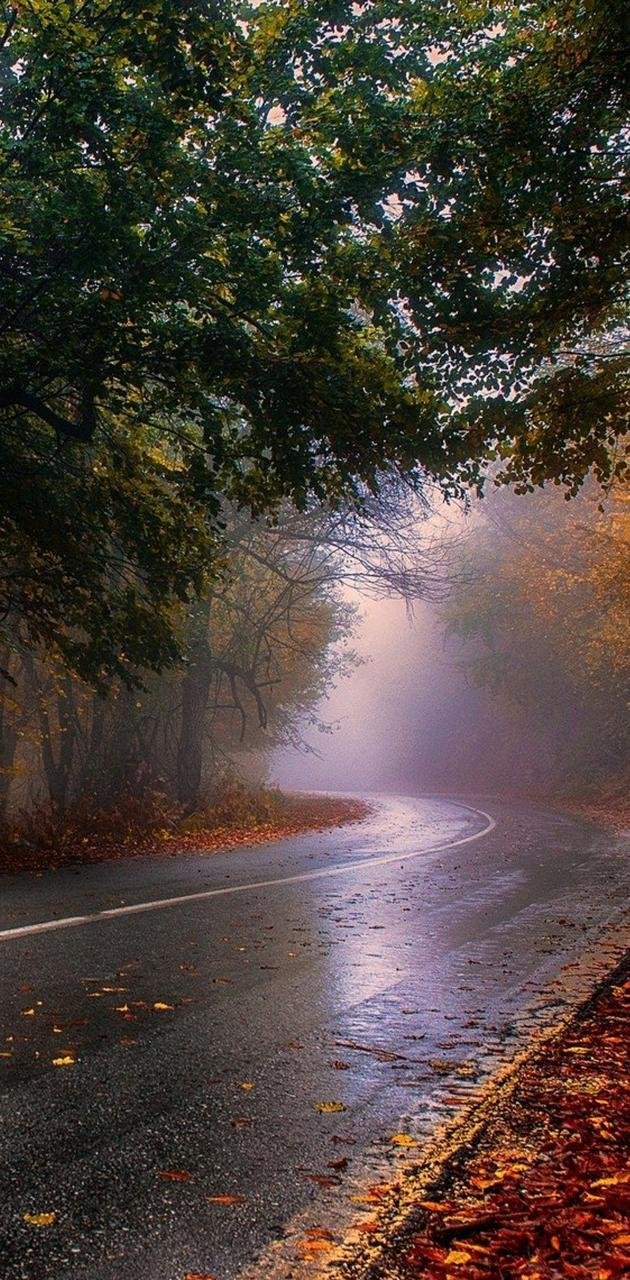 Autumn rainy day Wallpaper Download