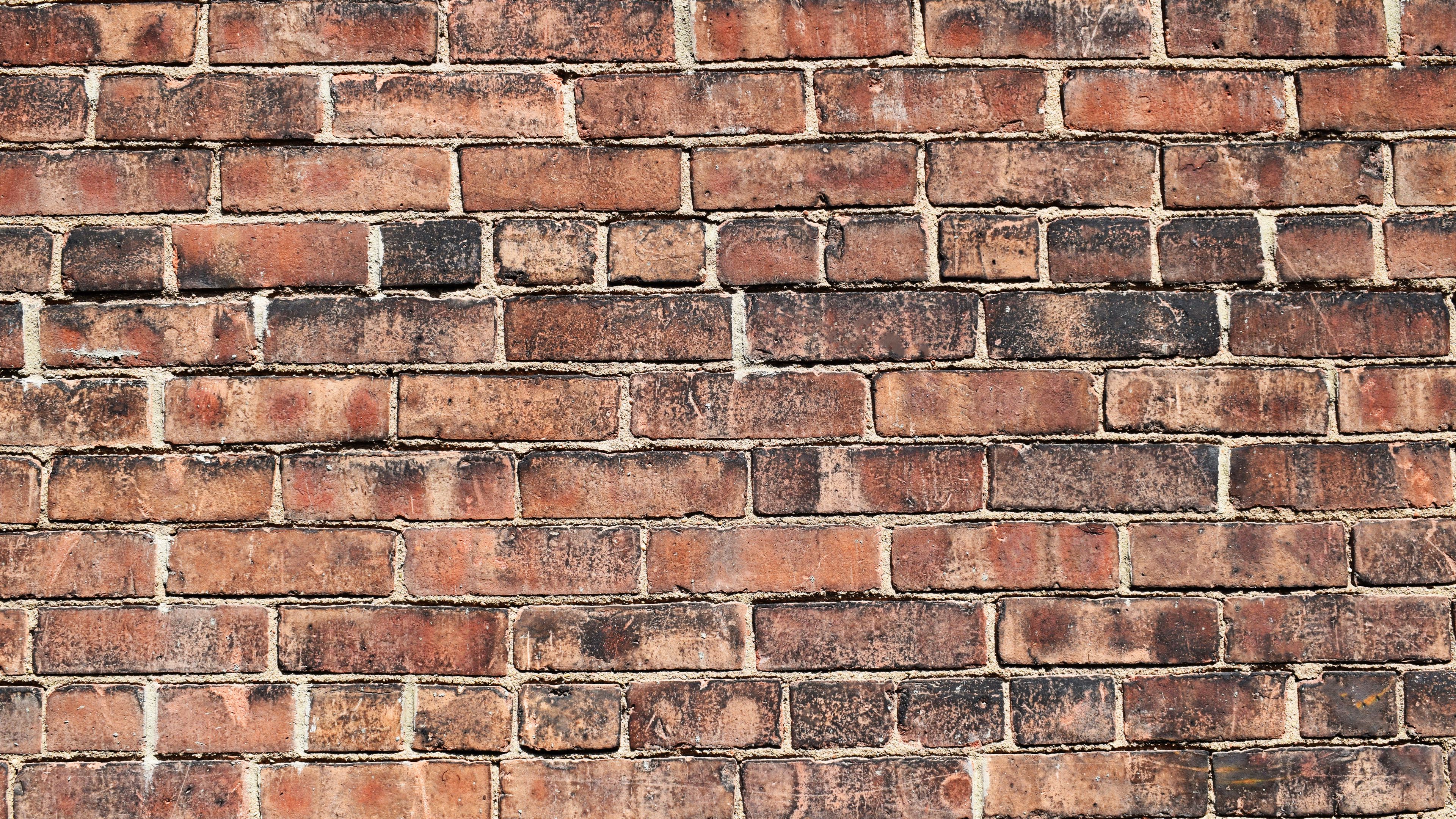 Download wallpaper 3840x2160 bricks, wall, brick wall, surface, texture 4k uhd 16:9 HD background