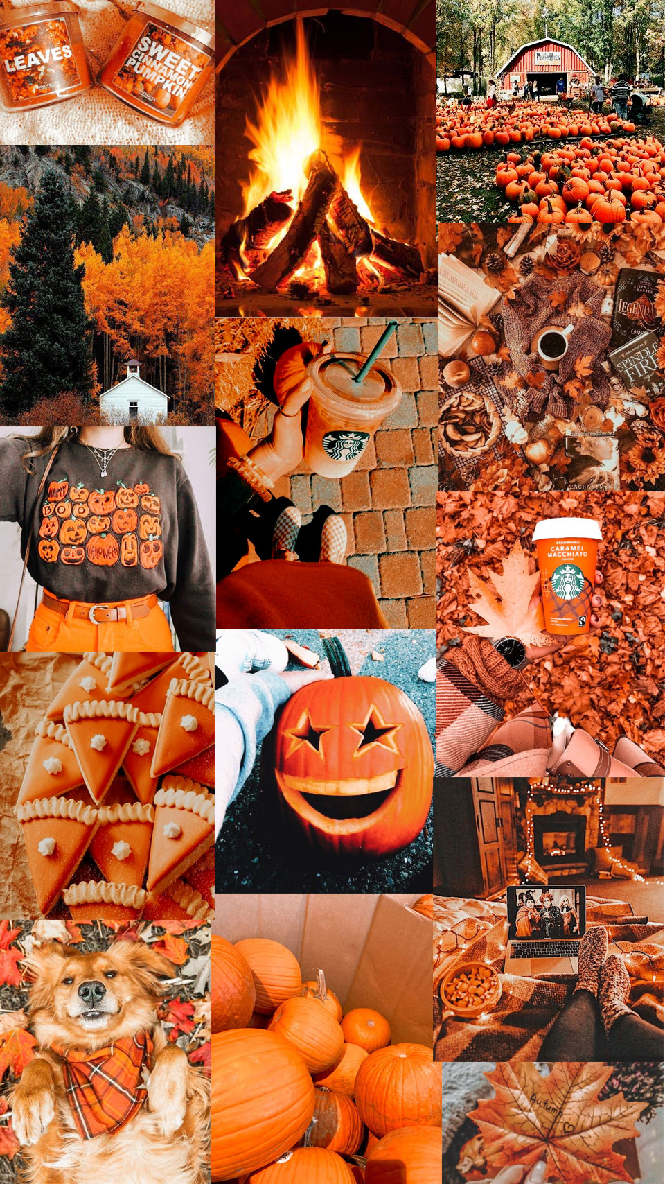 Autumn Collage Wallpaper, Fall Collage Wallpaper