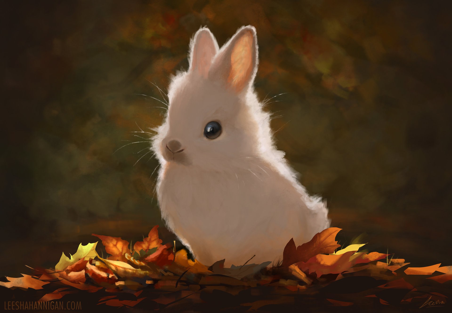 Animals rabbits leaves cute autumn nature drawings widescreen wallpaperx1330