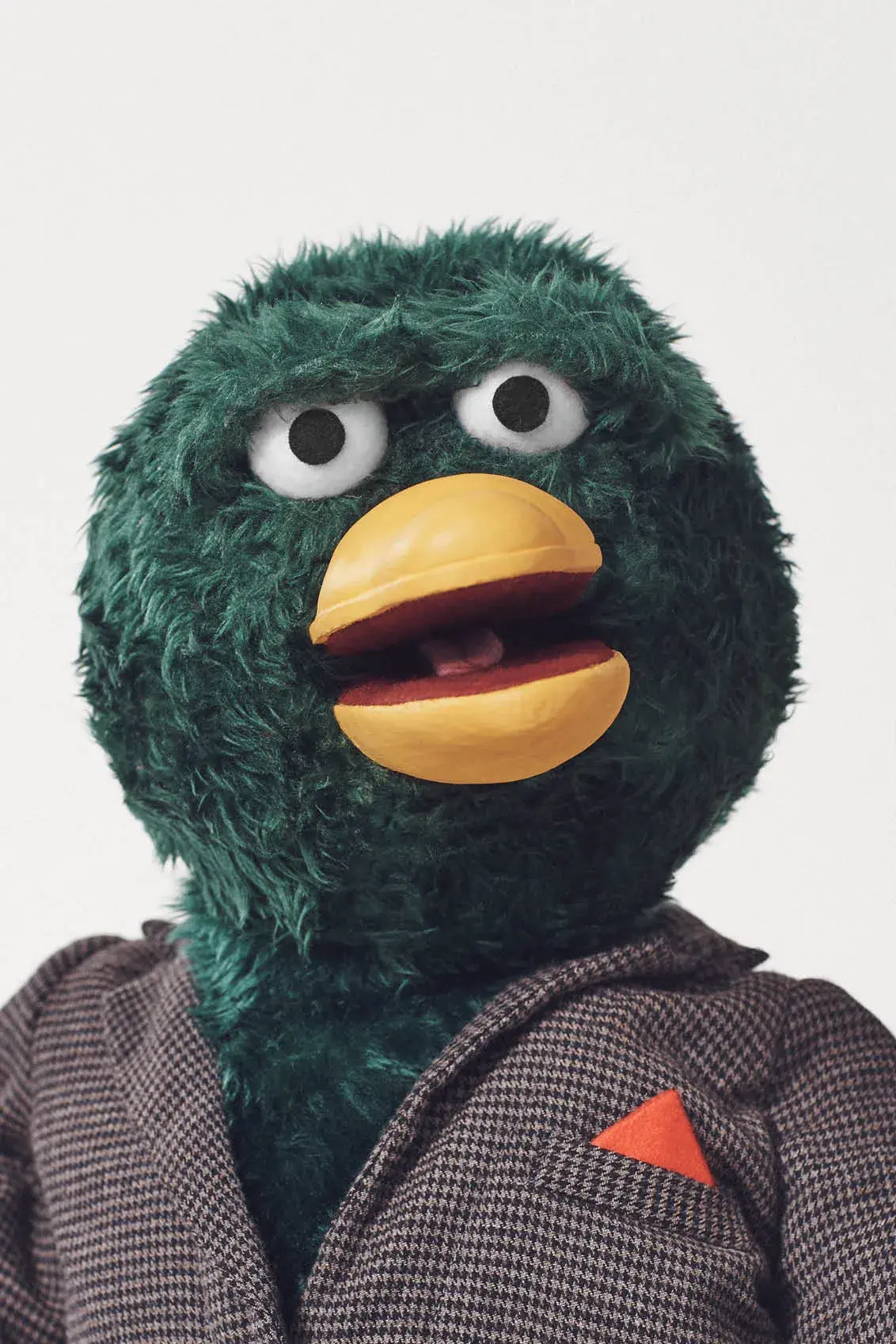 Duck Guy