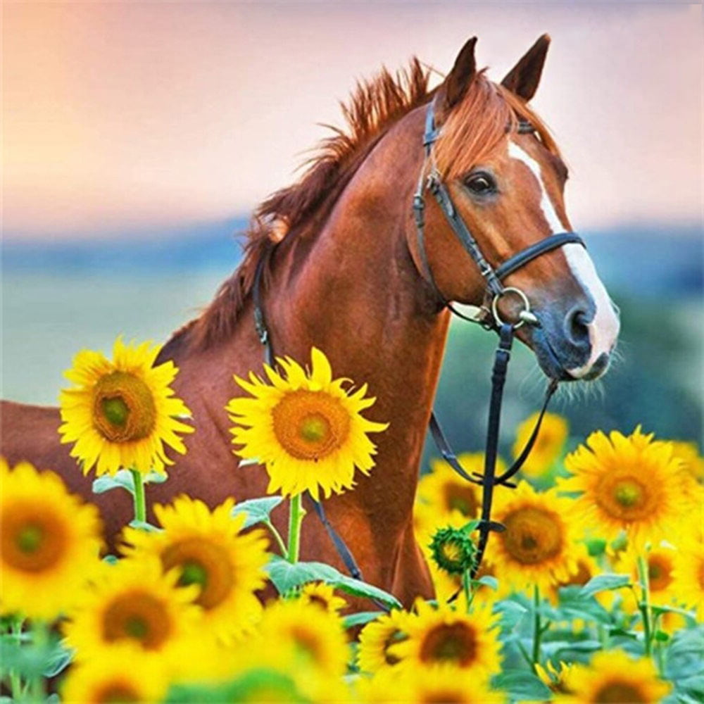 Horse Sunflower Wallpapers - Wallpaper Cave