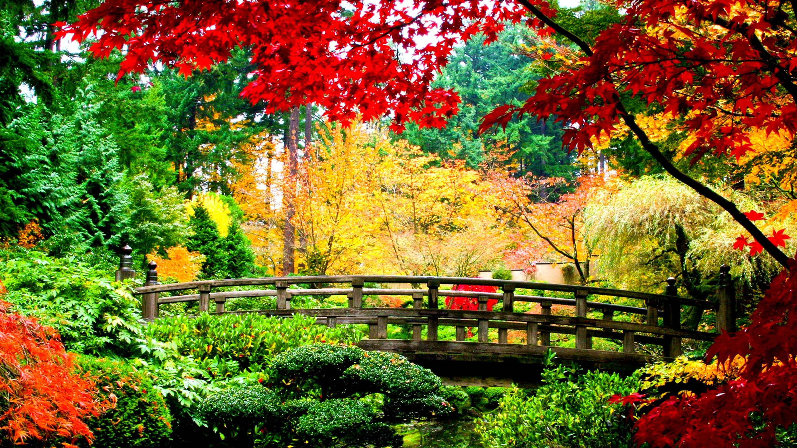 Japanese Nature Wallpaper