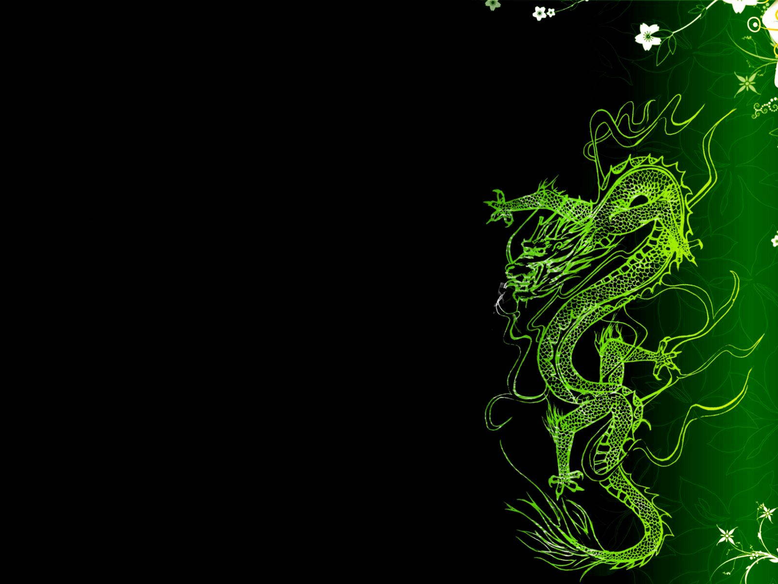 Japanese Dragon Picture