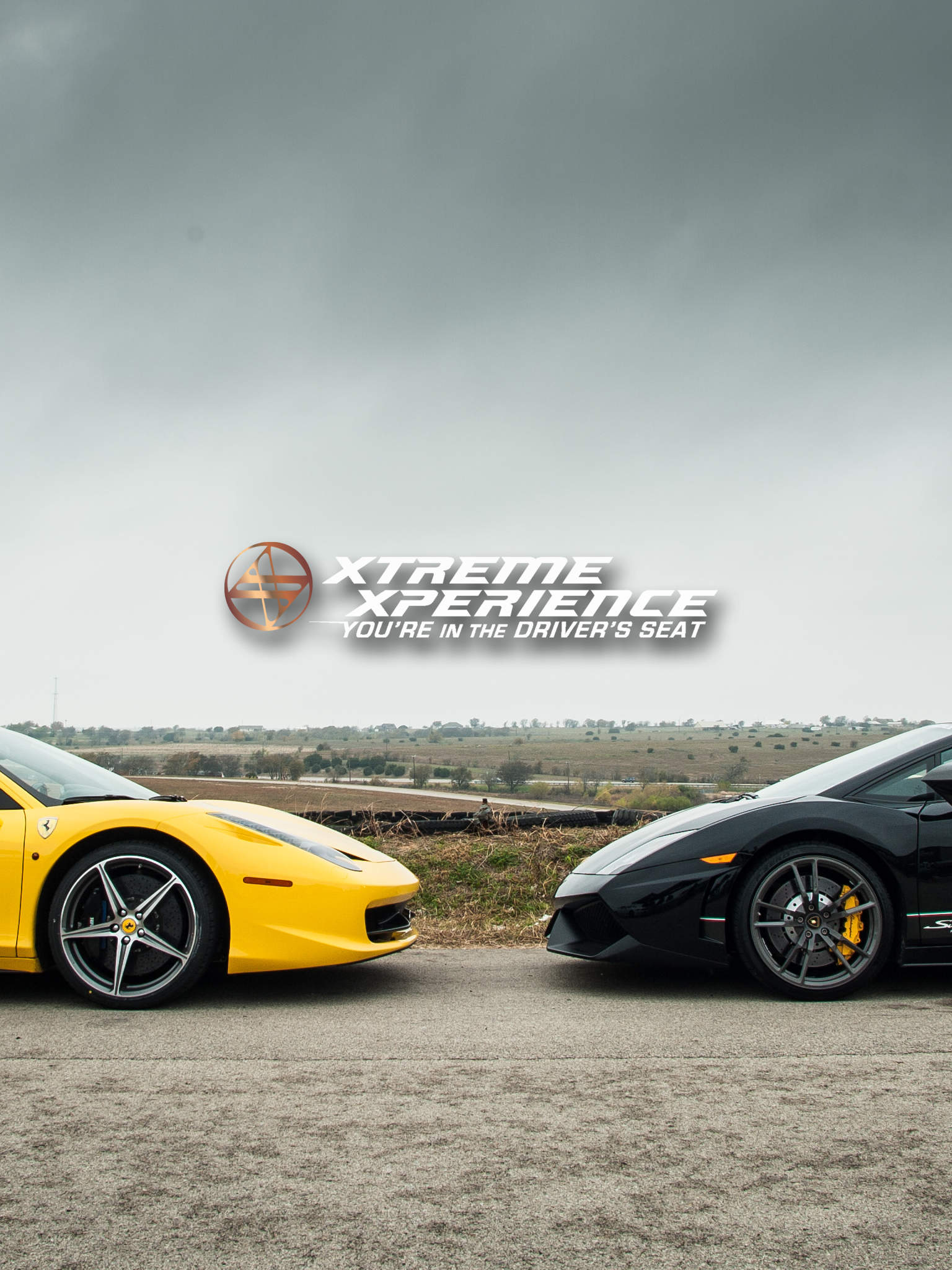 Ferrari Vs. Lamborghini Wallpaper