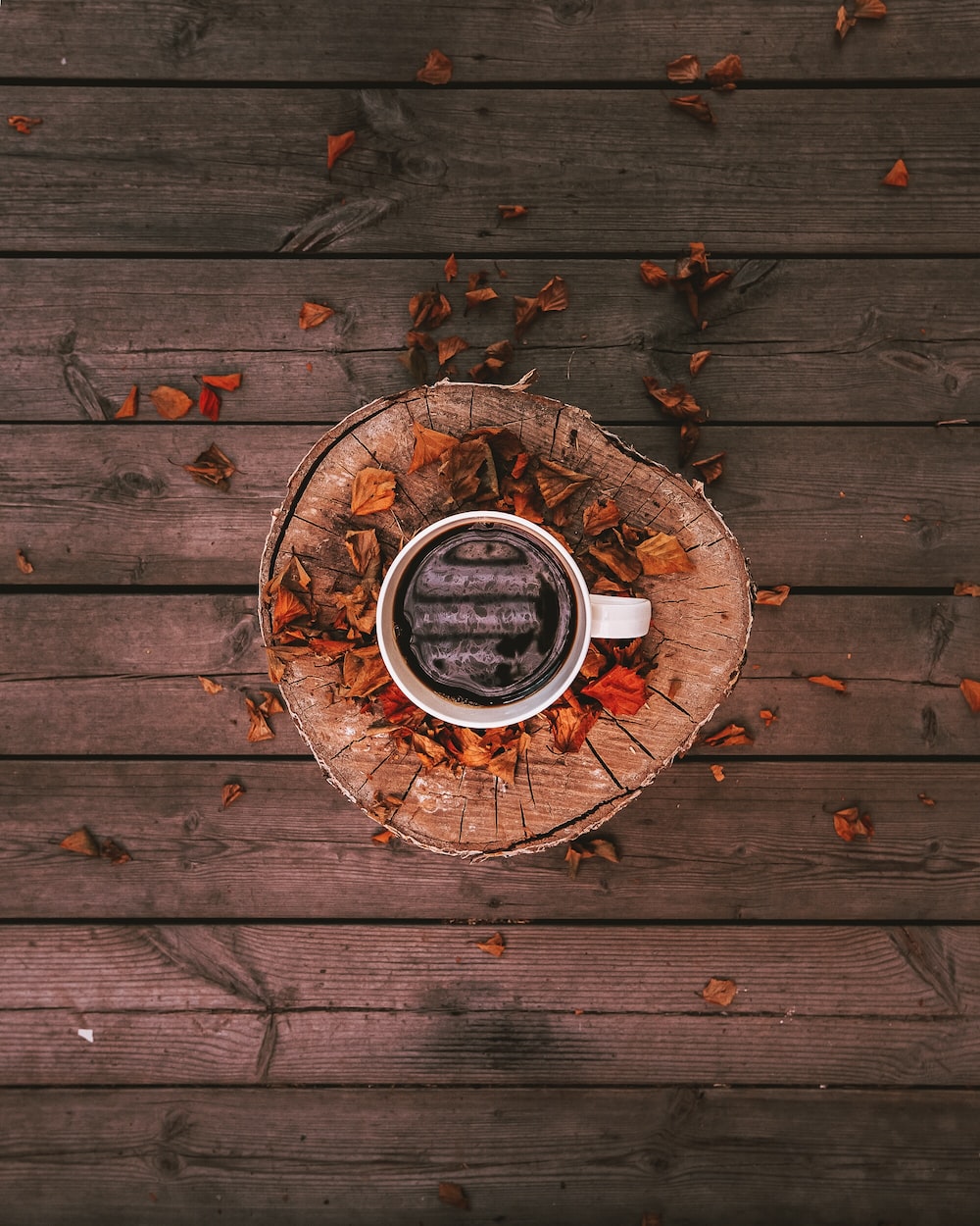 Autumn Coffee Picture. Download Free Image