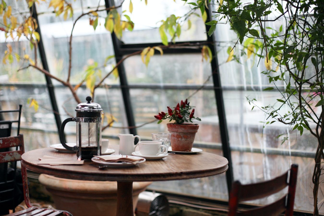 A peep inside some of the most pictureque cafes all across the world