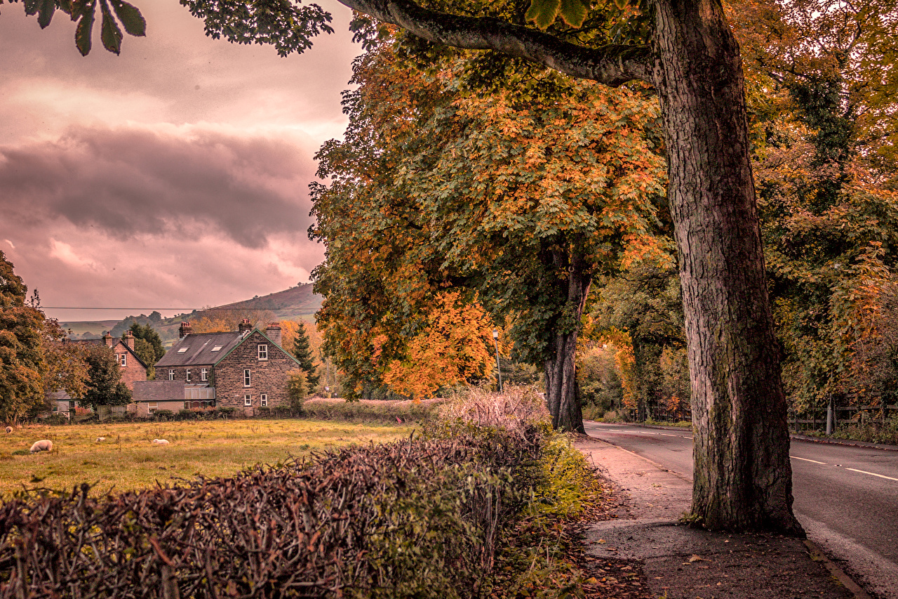 Photos England Bamford Autumn Nature Trees Building